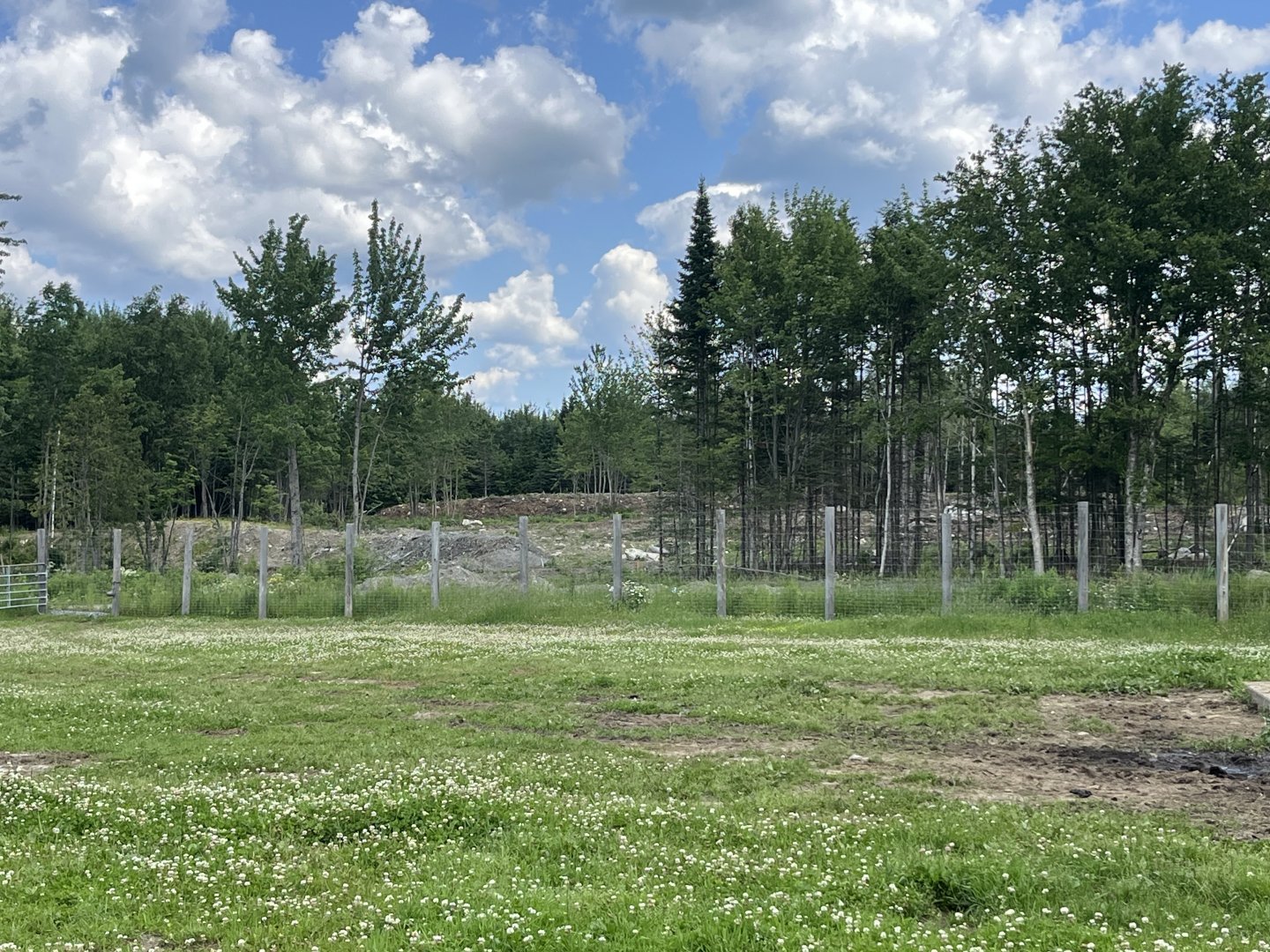 Excavation for the lemur island exhibit at the Reserve