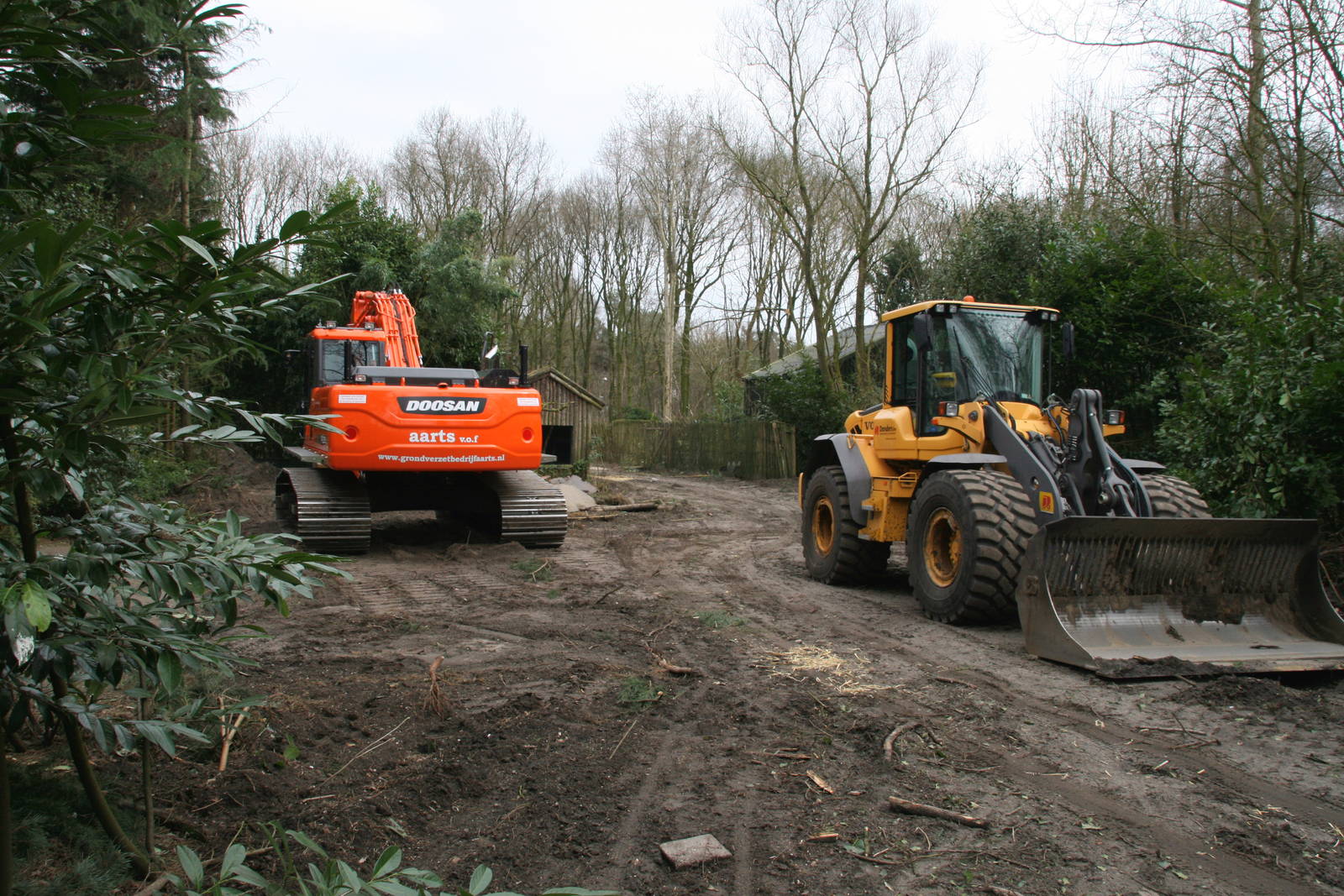 Excavators in the zoogrounds