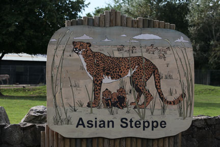excellent cheetah sign