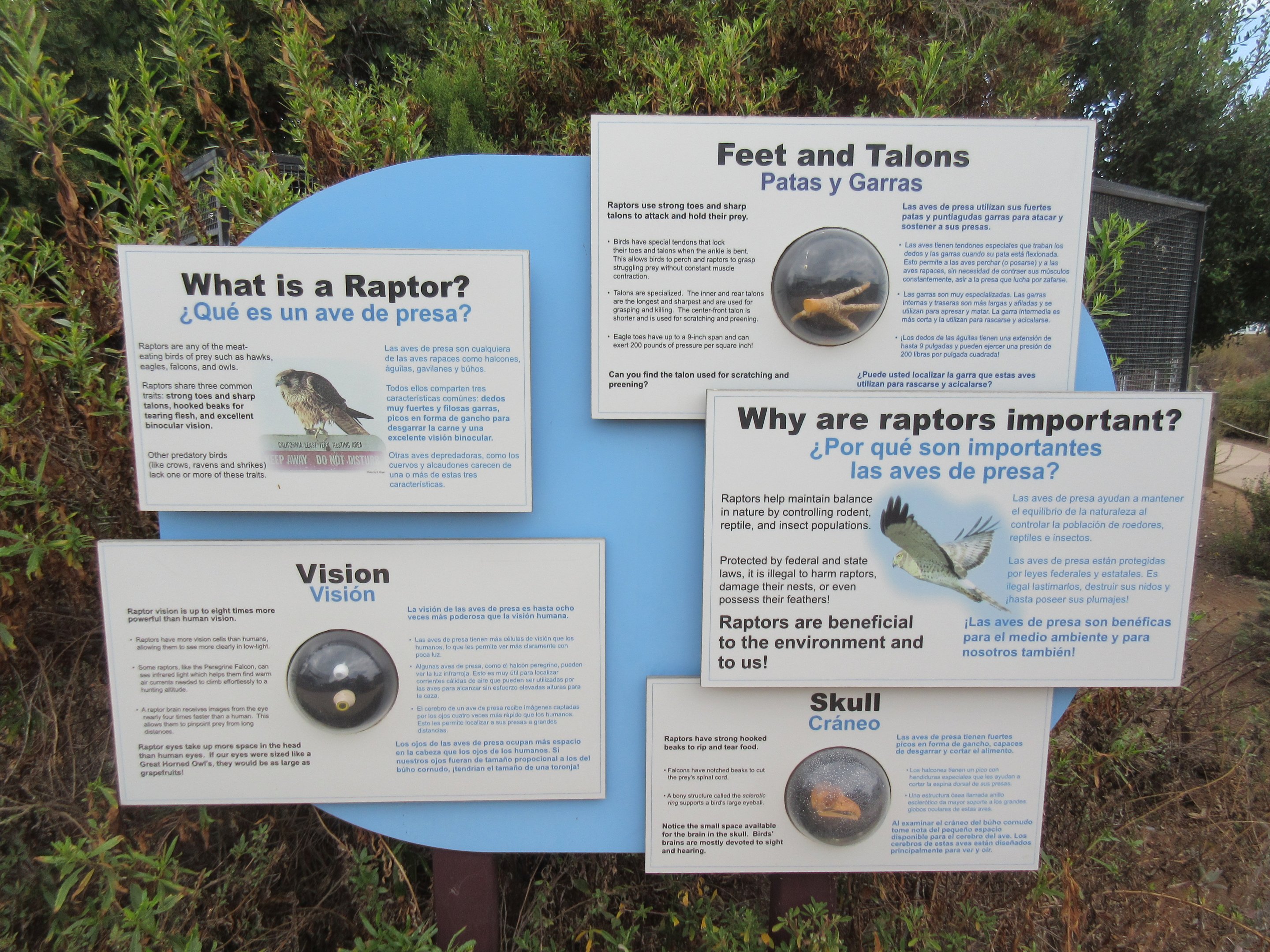 Excellent Raptor Sign