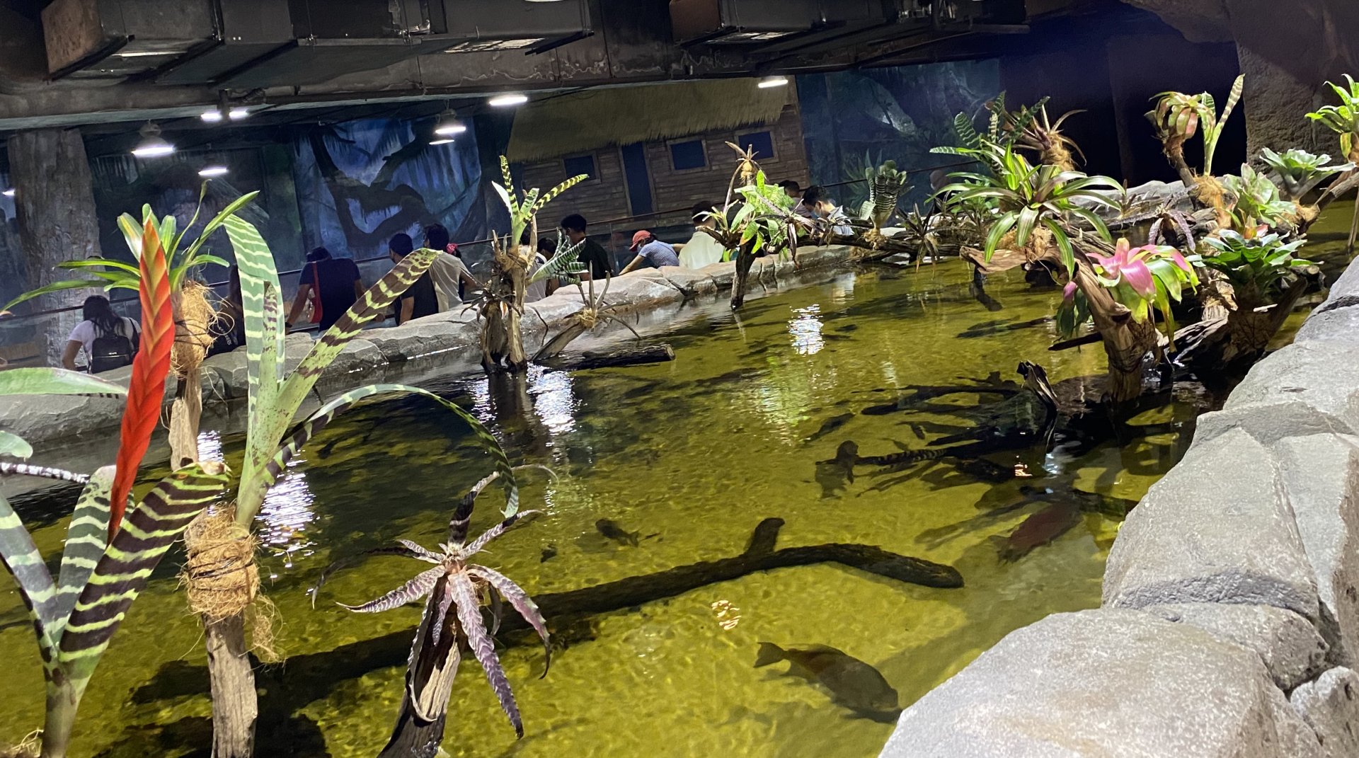 Excellent Refurbishment