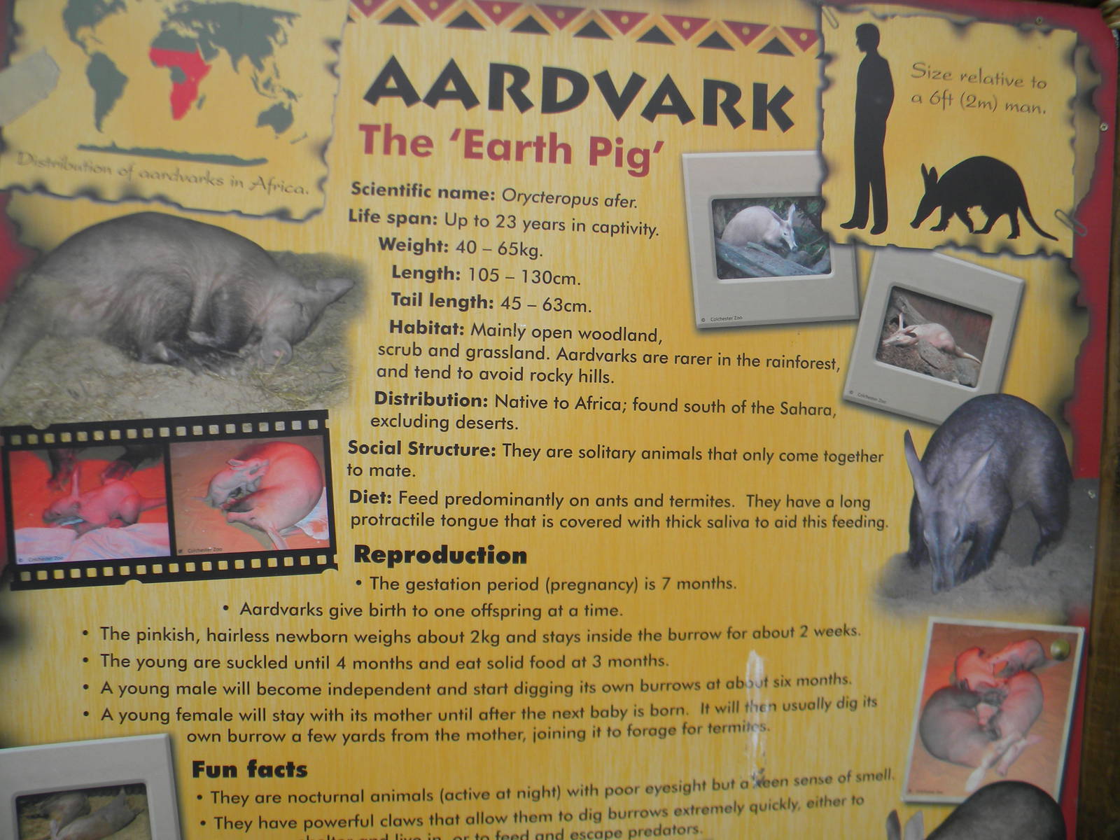 Excellent Signage at Blackpool Zoo 2011.