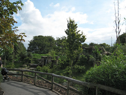 excellent spec bear exhibit