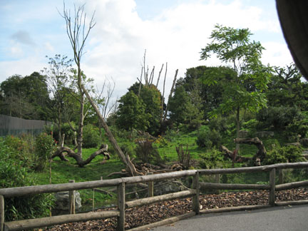 excellent spec bear exhibit