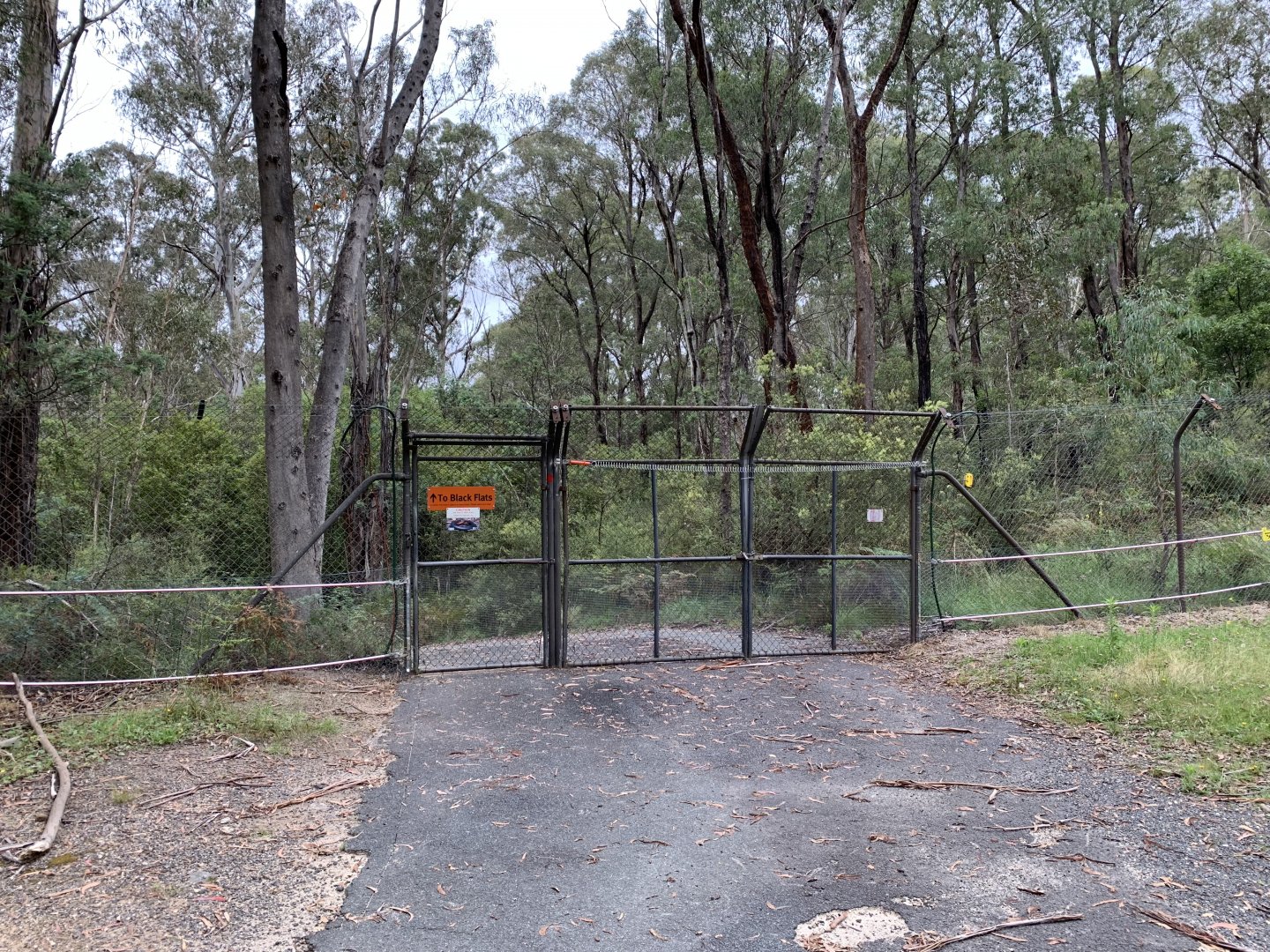 Exclusion Fence - Tidbinbilla