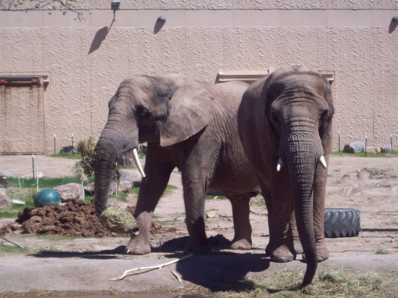 Excuse me girl, I'm on your right!