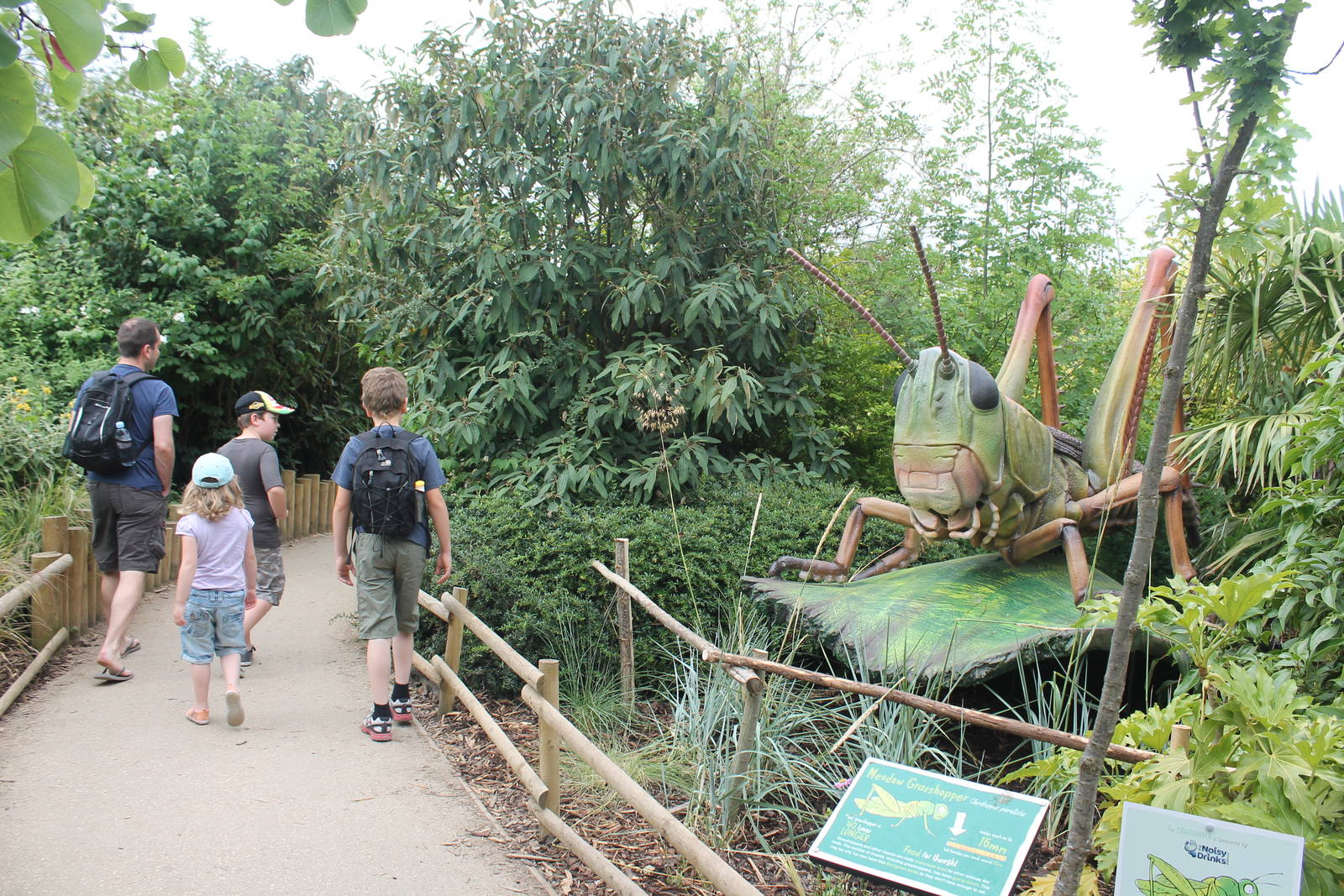 exhibit and walkway Bugs Chester Zoo 2013