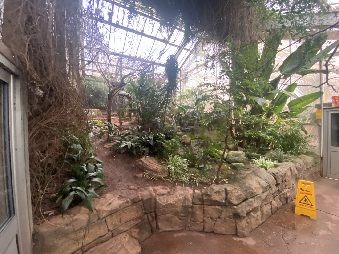 Exhibit between Reptile Tropics and Desert House 201121