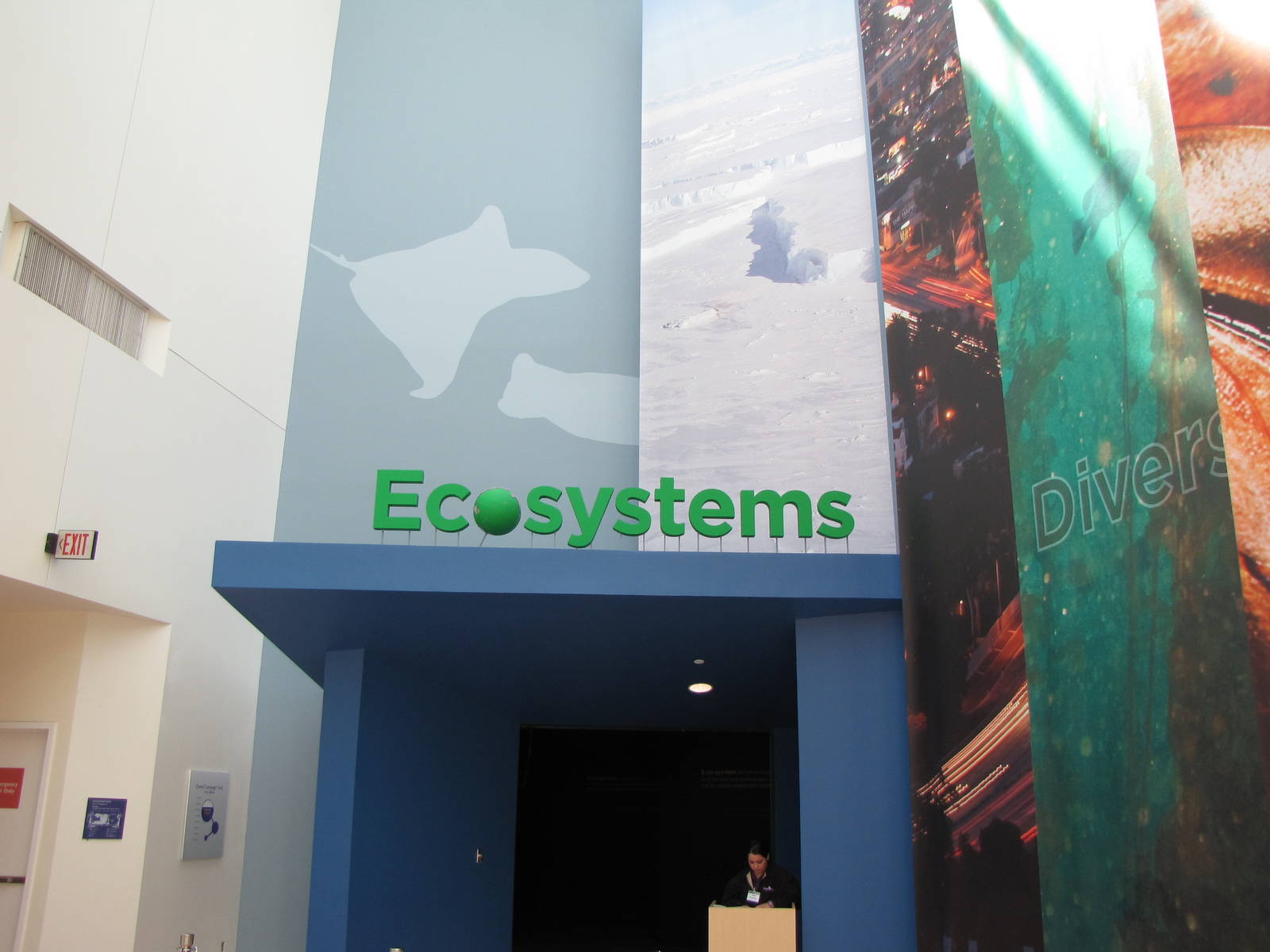 Exhibit Entrance