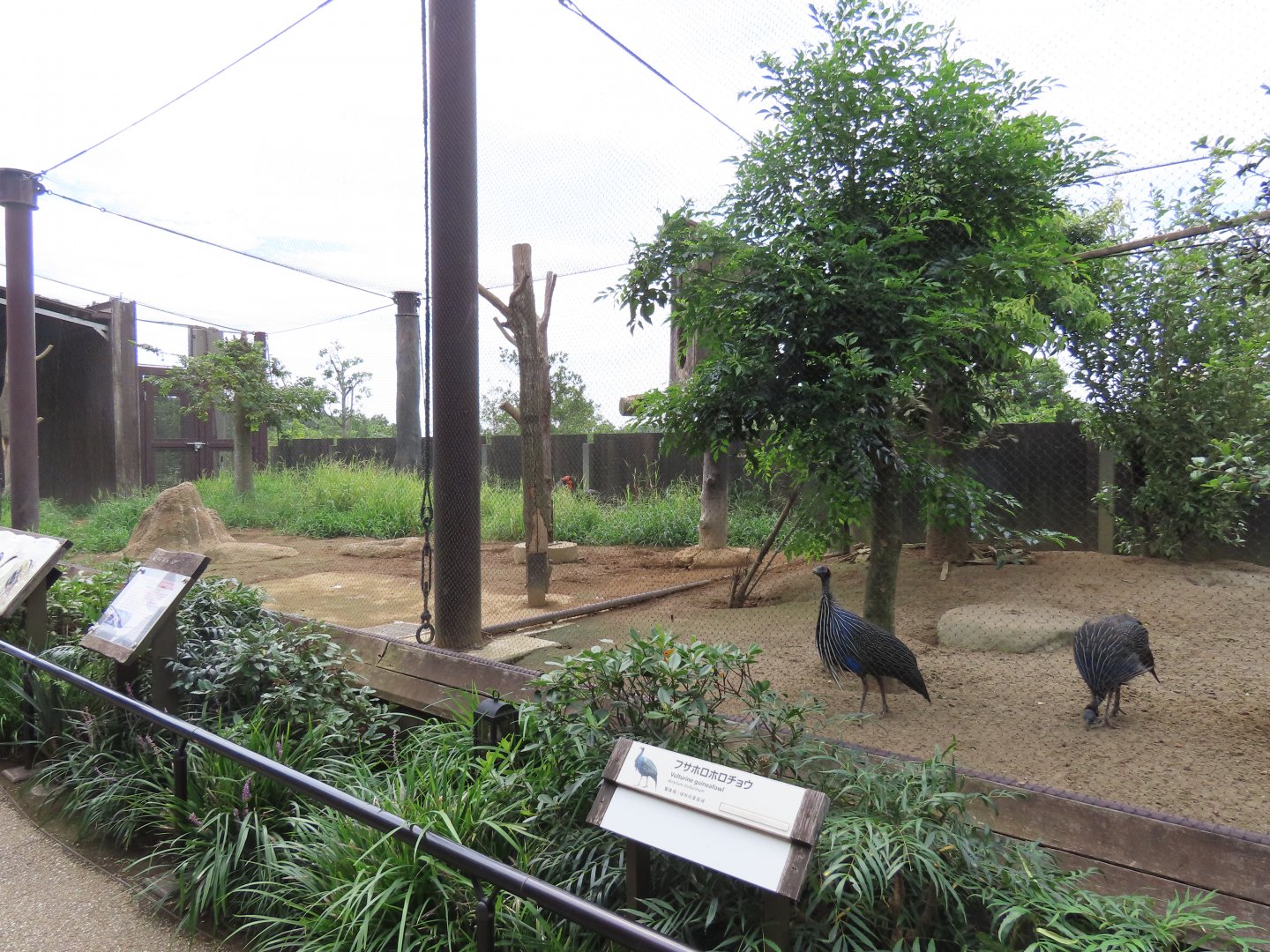 Exhibit for african birds