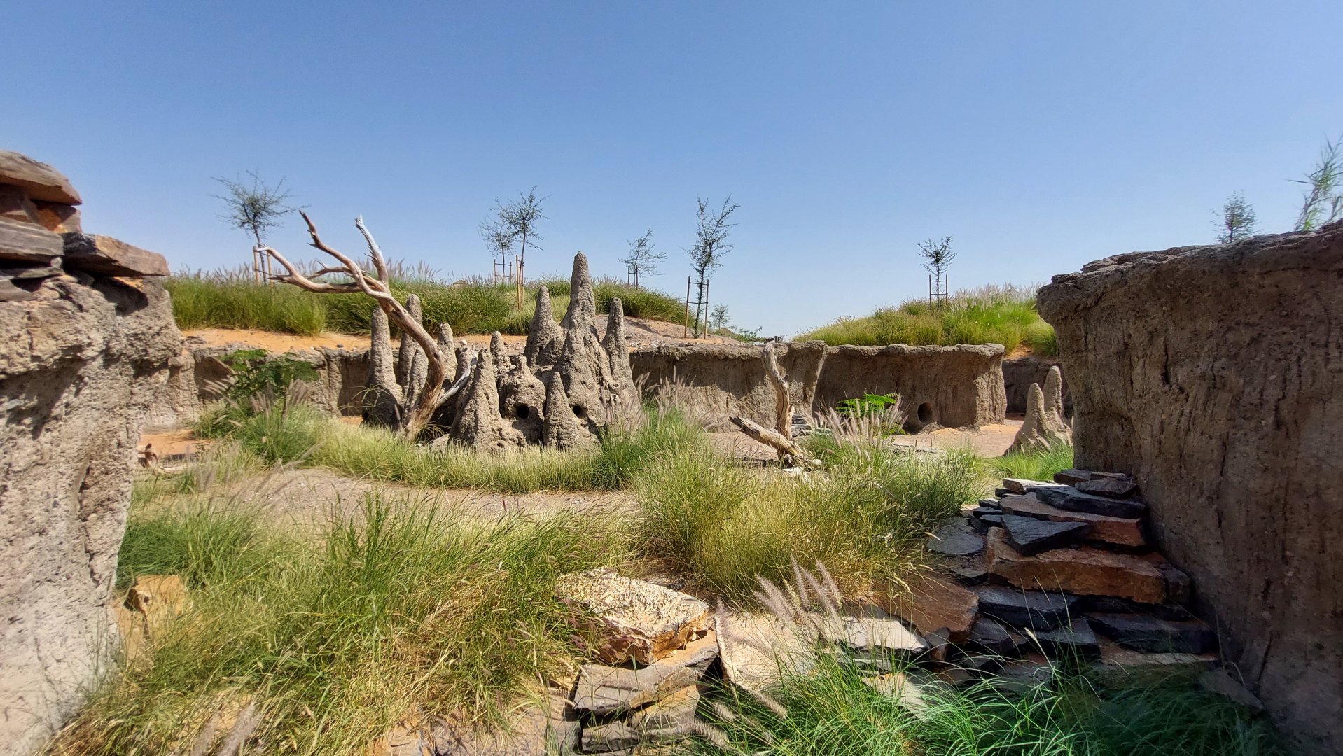 Exhibit for banded Mongoose and Crested Porcupine