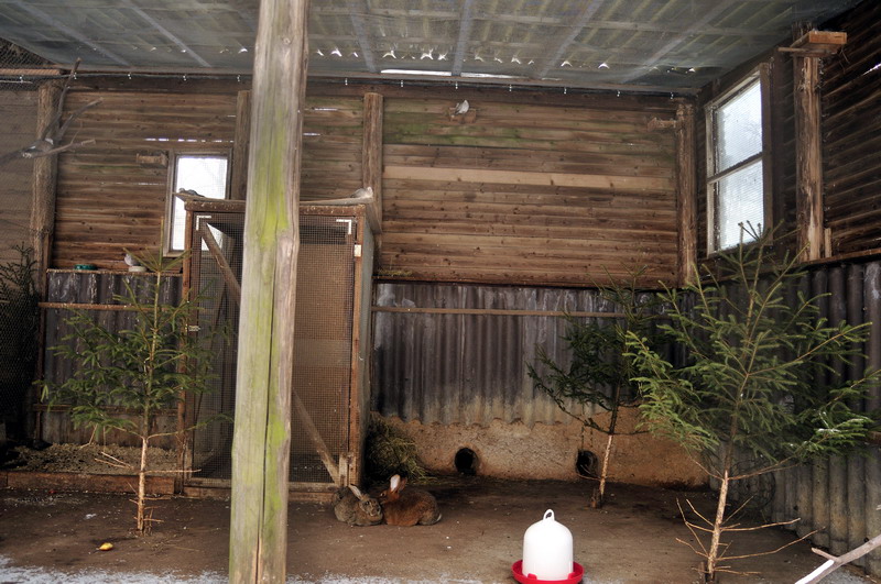 Exhibit for birds and rabbits at Wildpark Neuhaus