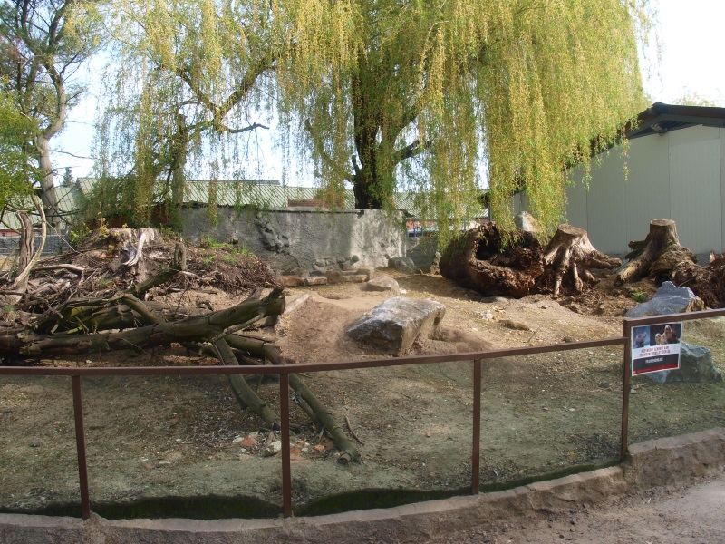 Exhibit for black-tailed prairie dogs