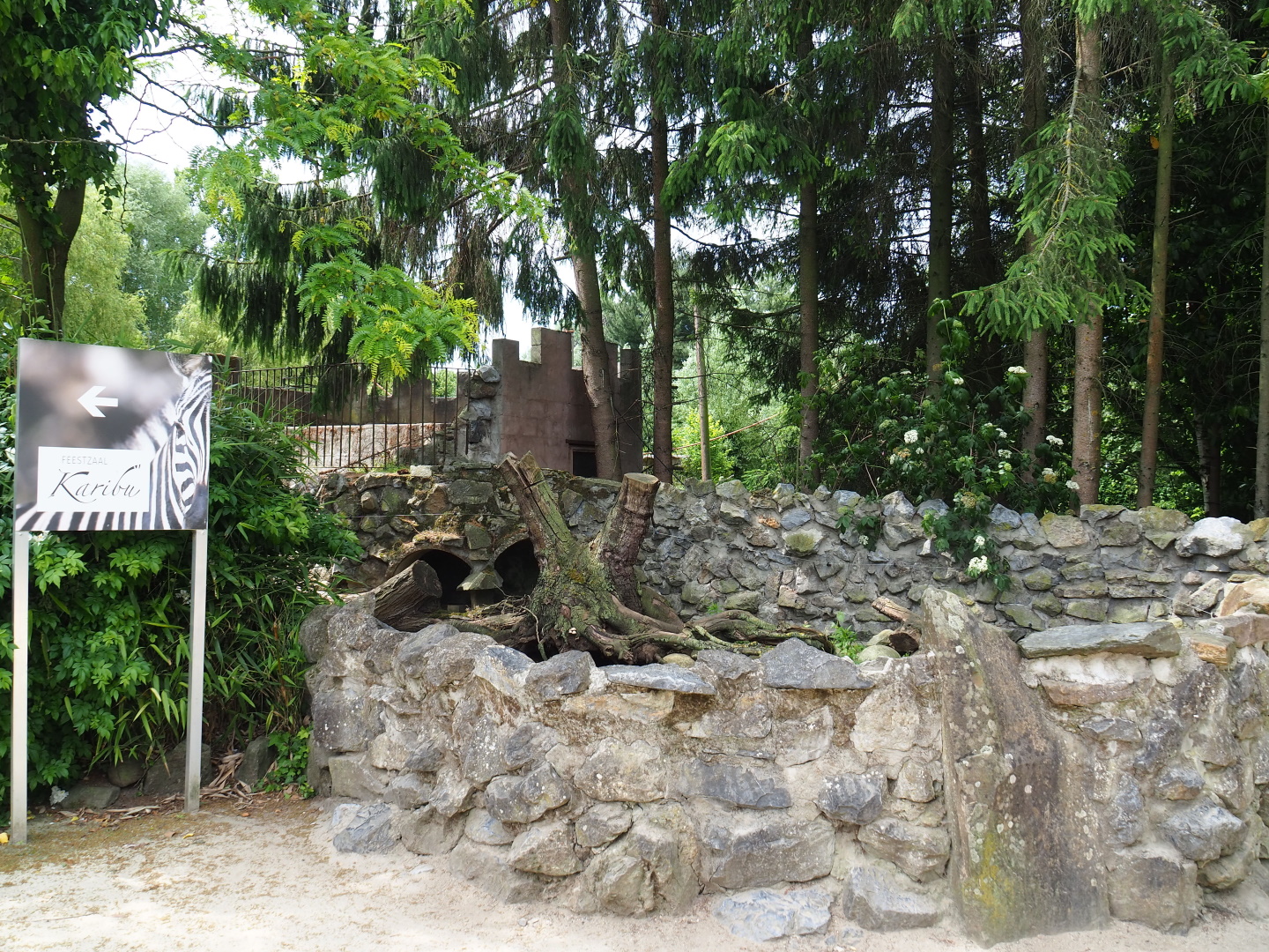 Exhibit for breeding group of meerkats, 2021-06-15