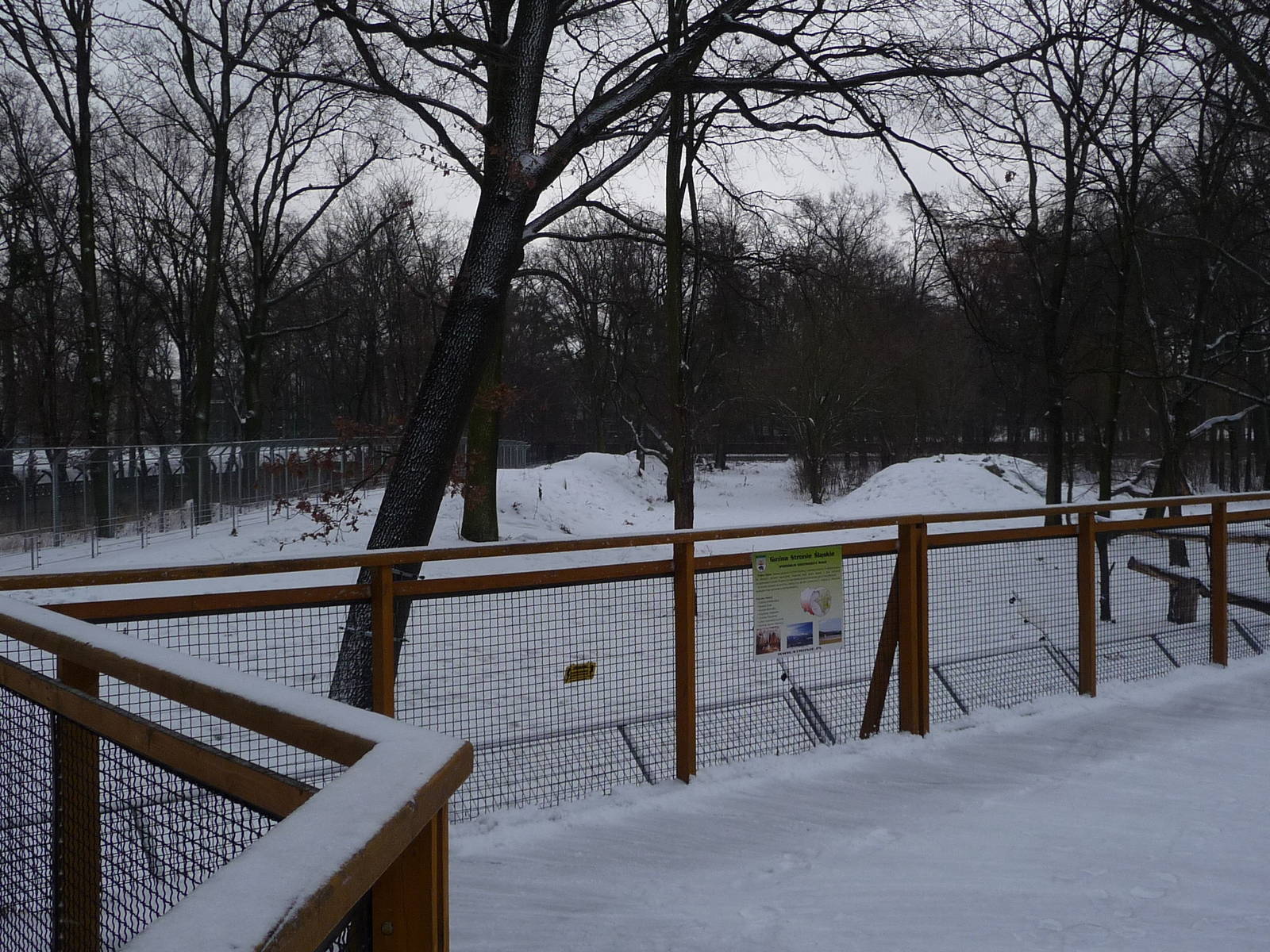 Exhibit for Brown Bears