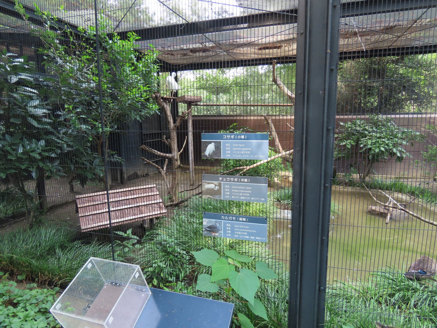 Exhibit for duck/egret