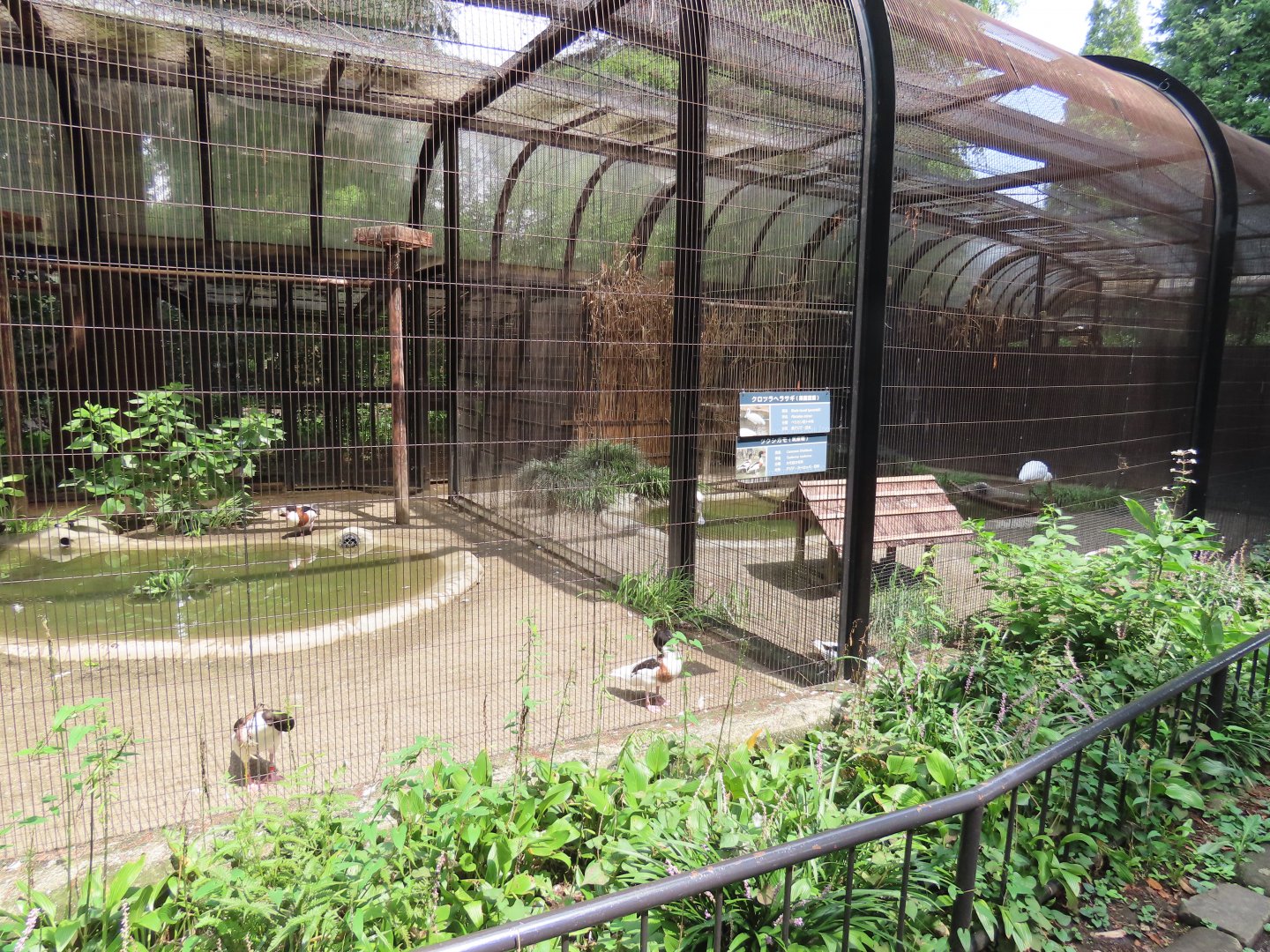 Exhibit for ducks/aquatic birds
