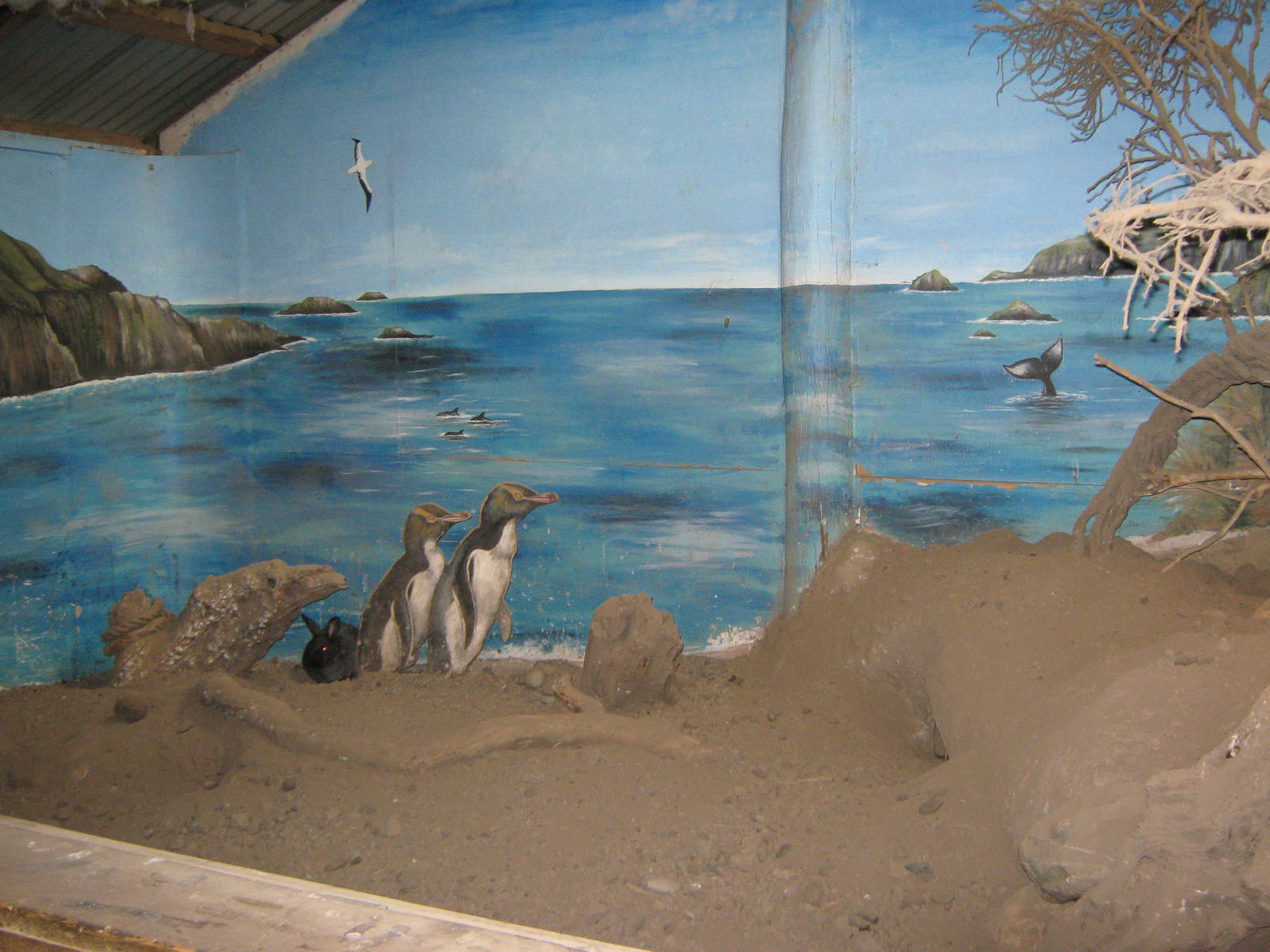 exhibit for Enderby Island rabbits