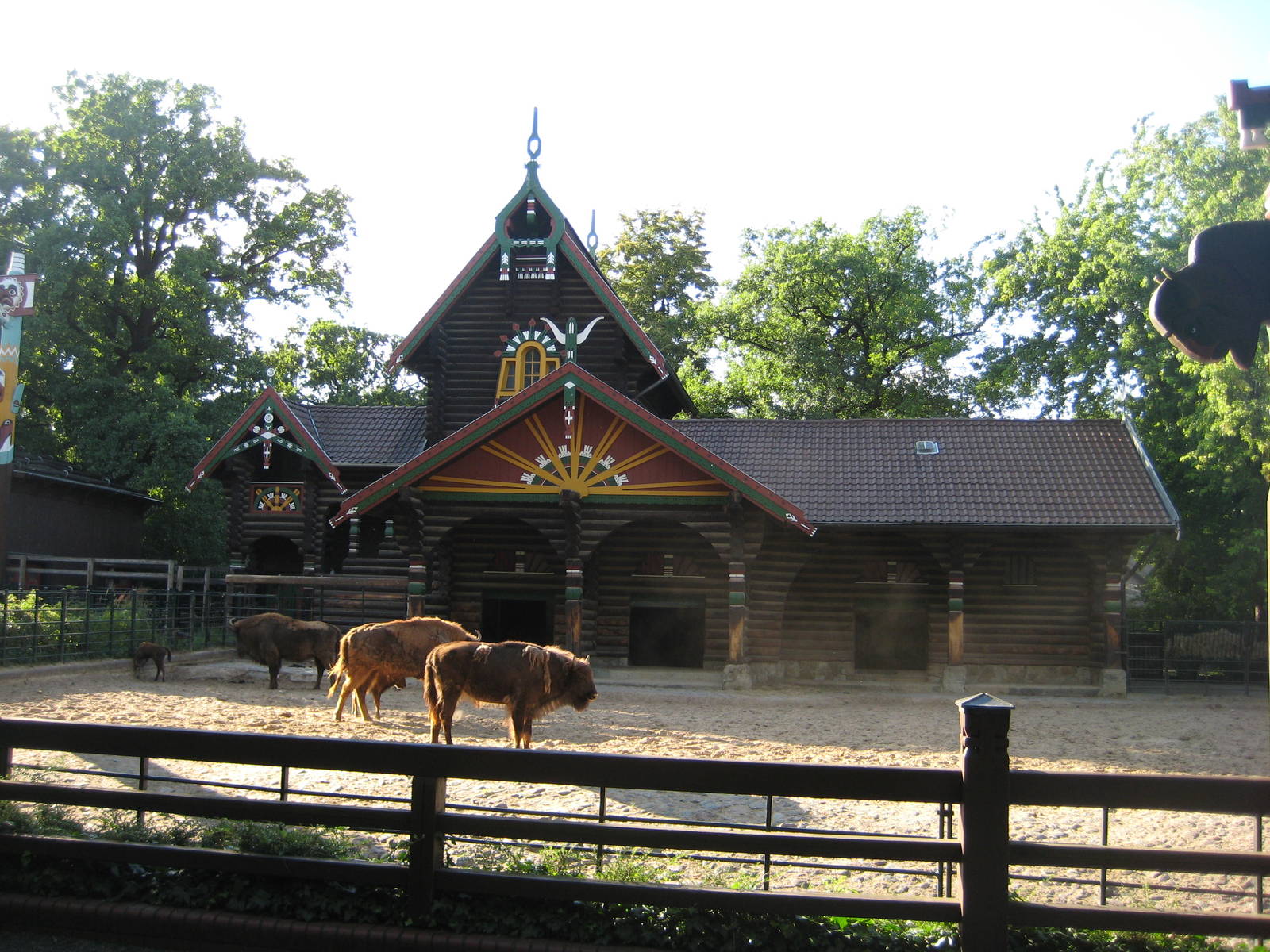 Exhibit for European Bison