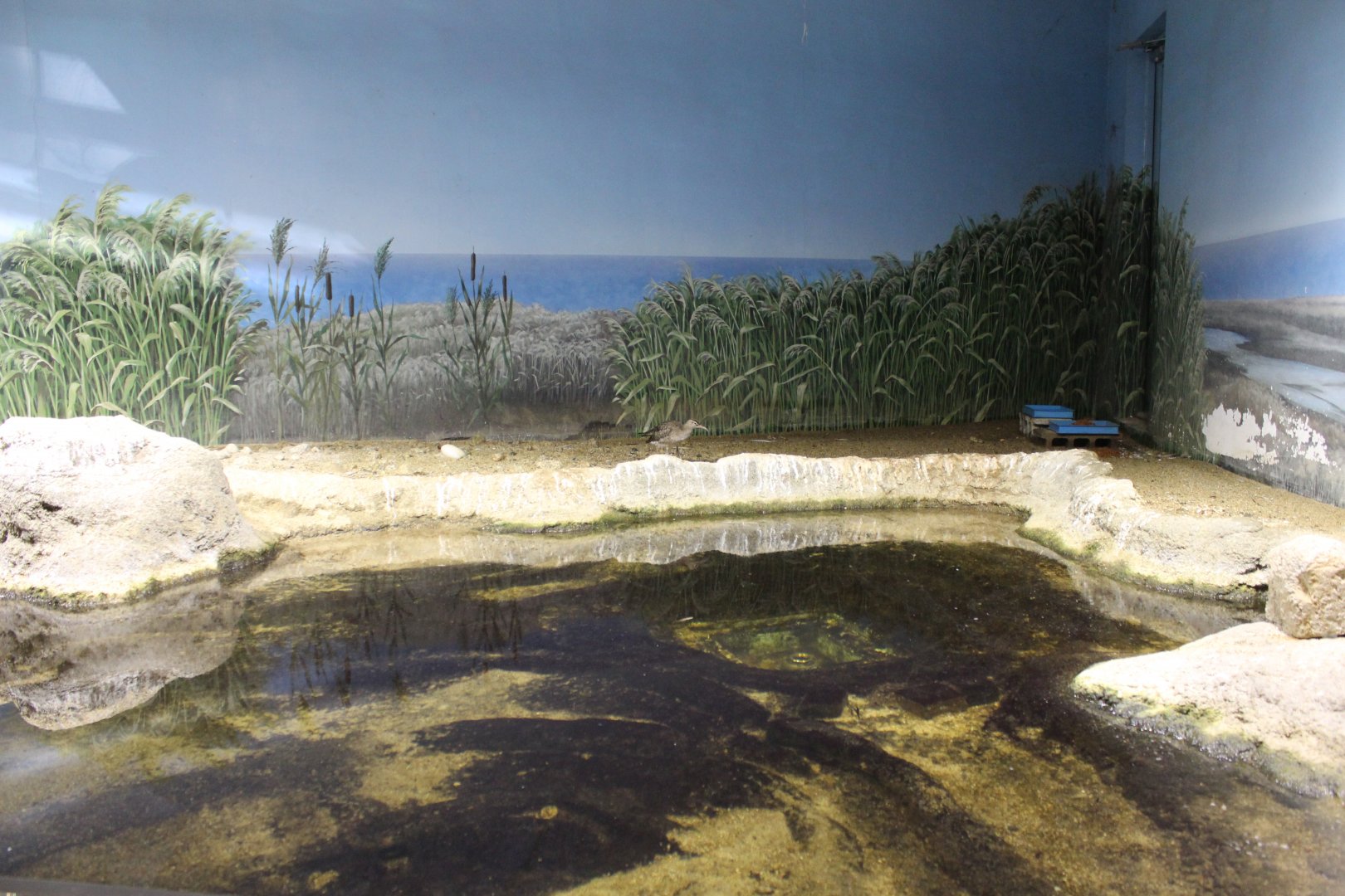 Exhibit for fish