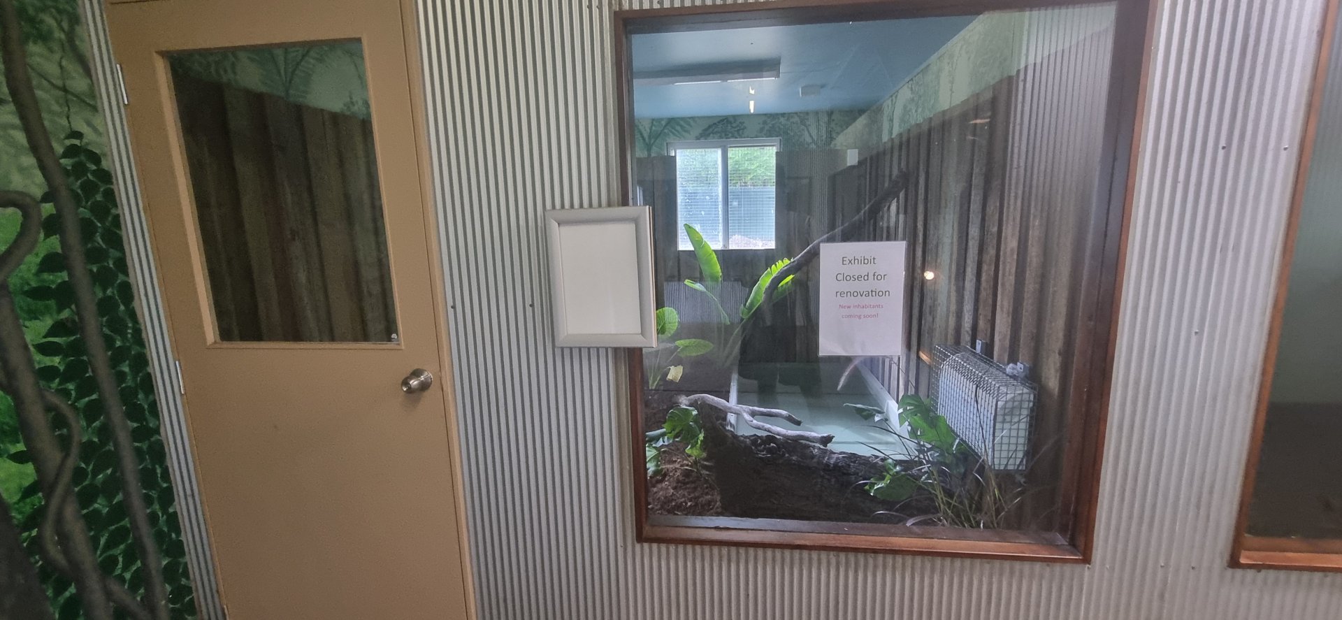 Exhibit for future reptile house inhabitant