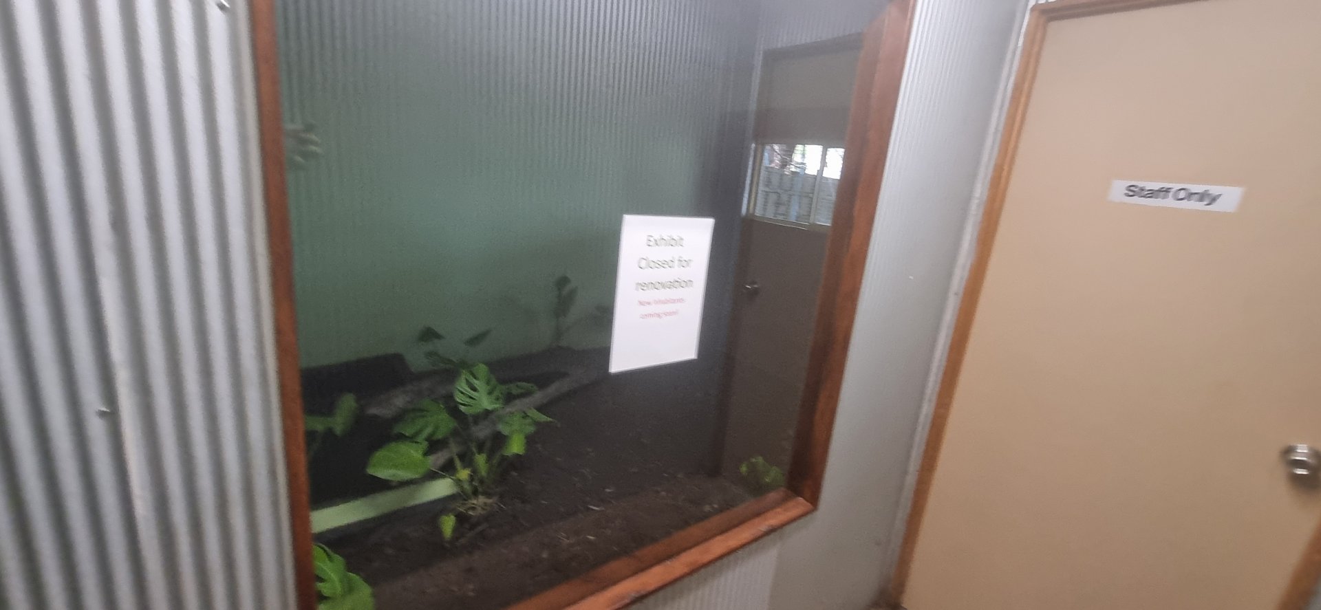 Exhibit for future reptile house inhabitant