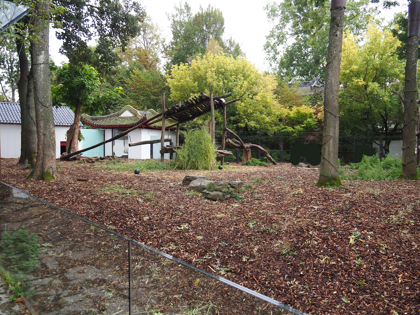 Exhibit for Giant panda twins Bao Mei and Bao Di, Formerly part of Asian black bear exhibit, 2023-10-13