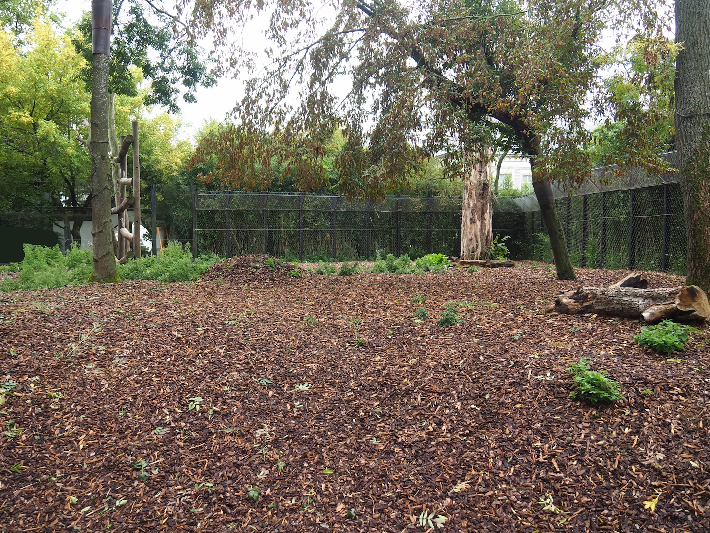 Exhibit for Giant panda twins Bao Mei and Bao Di, Formerly part of Asian black bear exhibit, 2023-10-13
