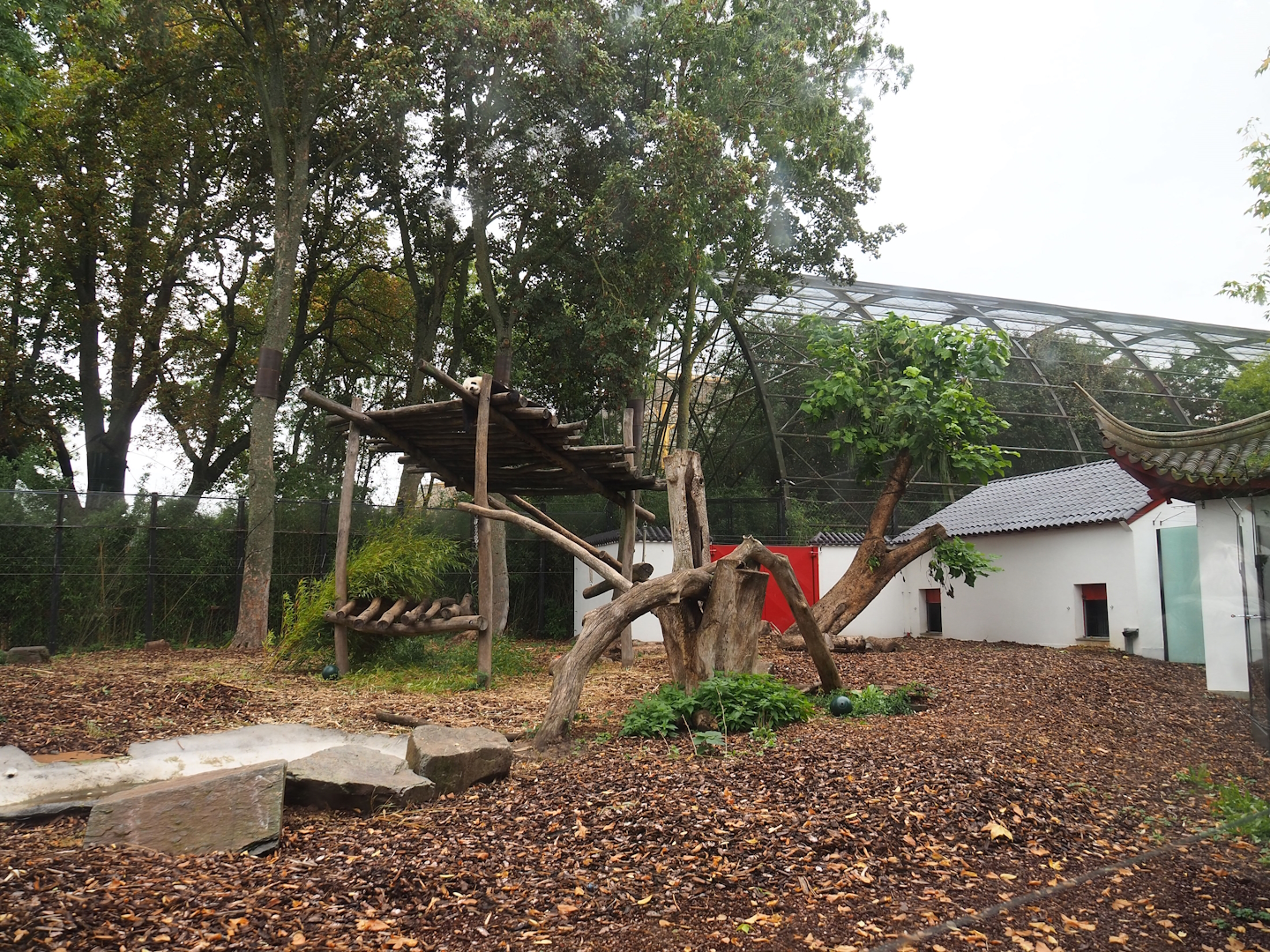 Exhibit for Giant panda twins Bao Mei and Bao Di, Formerly part of Asian black bear exhibit, 2023-10-13