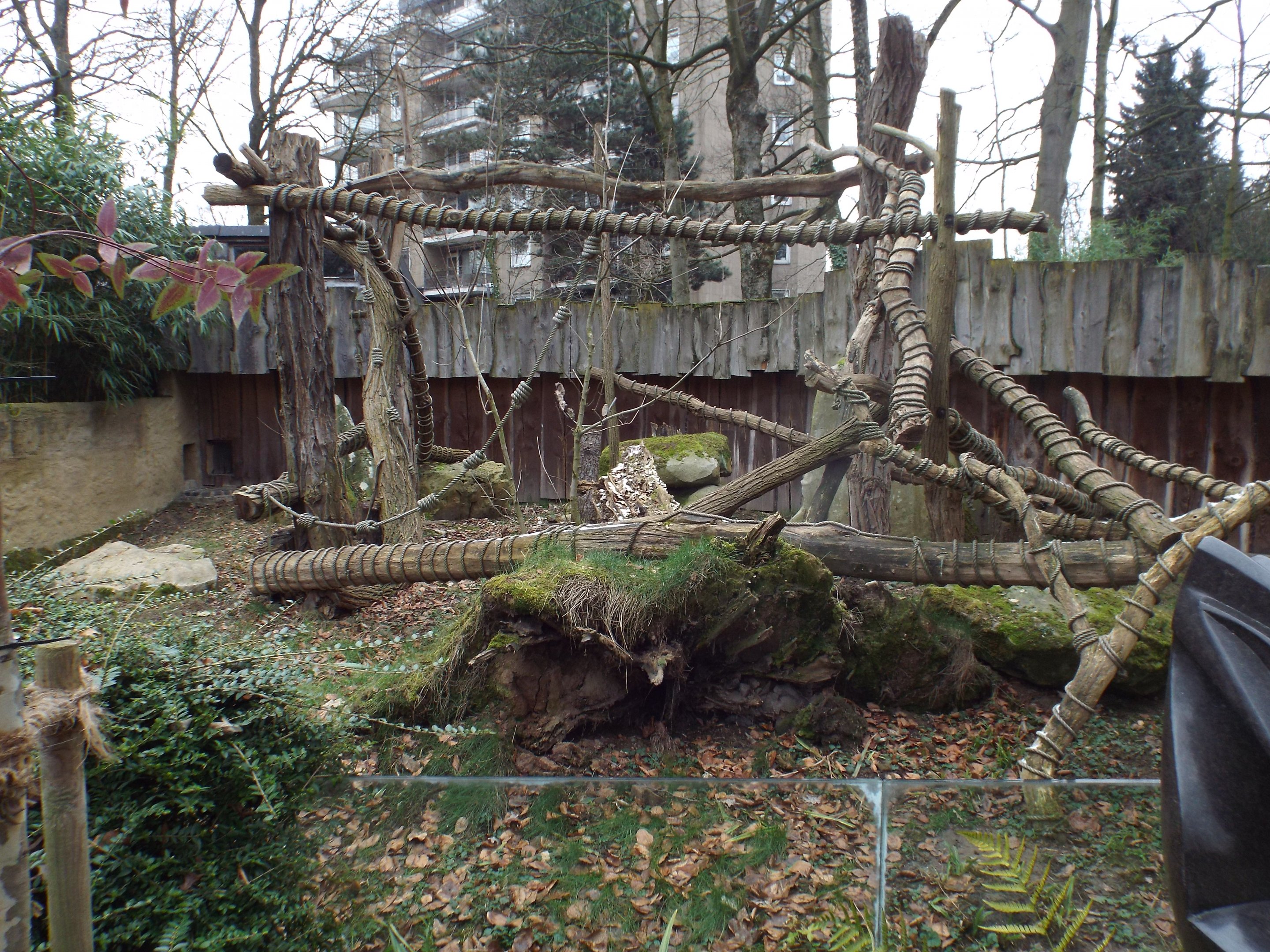 Exhibit for Goodfellow's Tree Kangaroo