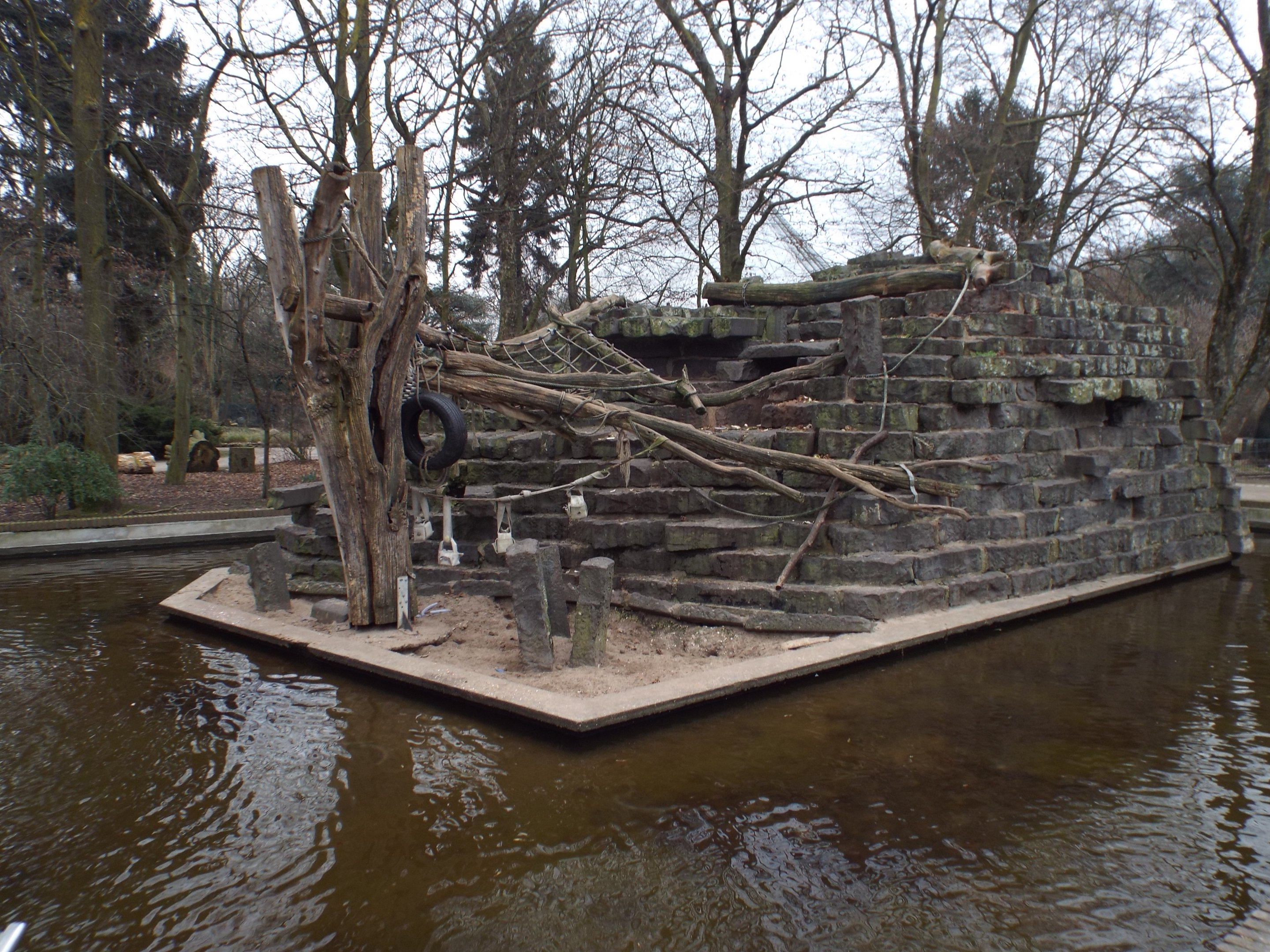 Exhibit for Hamadryas Baboon