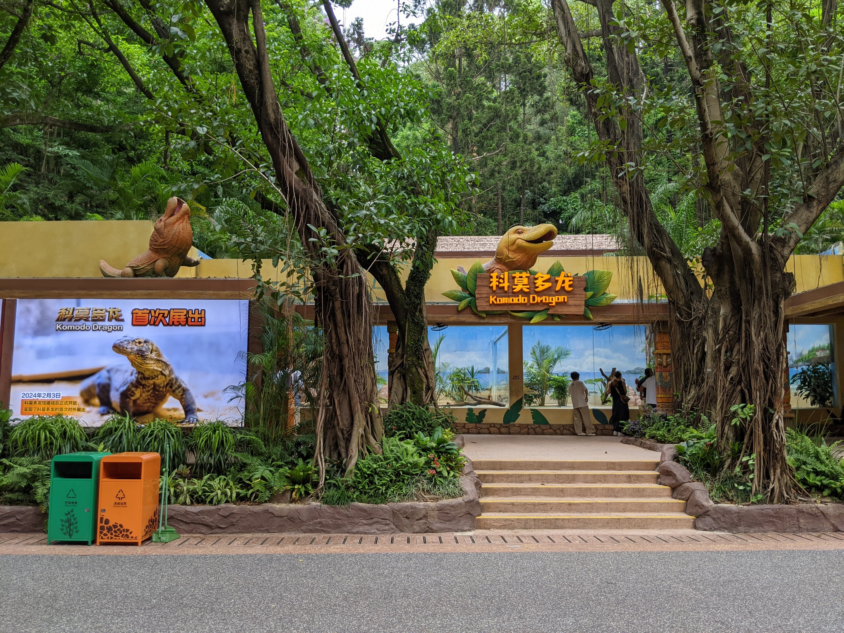 Exhibit for Komodo Dragons (Varanus komodoensis)
