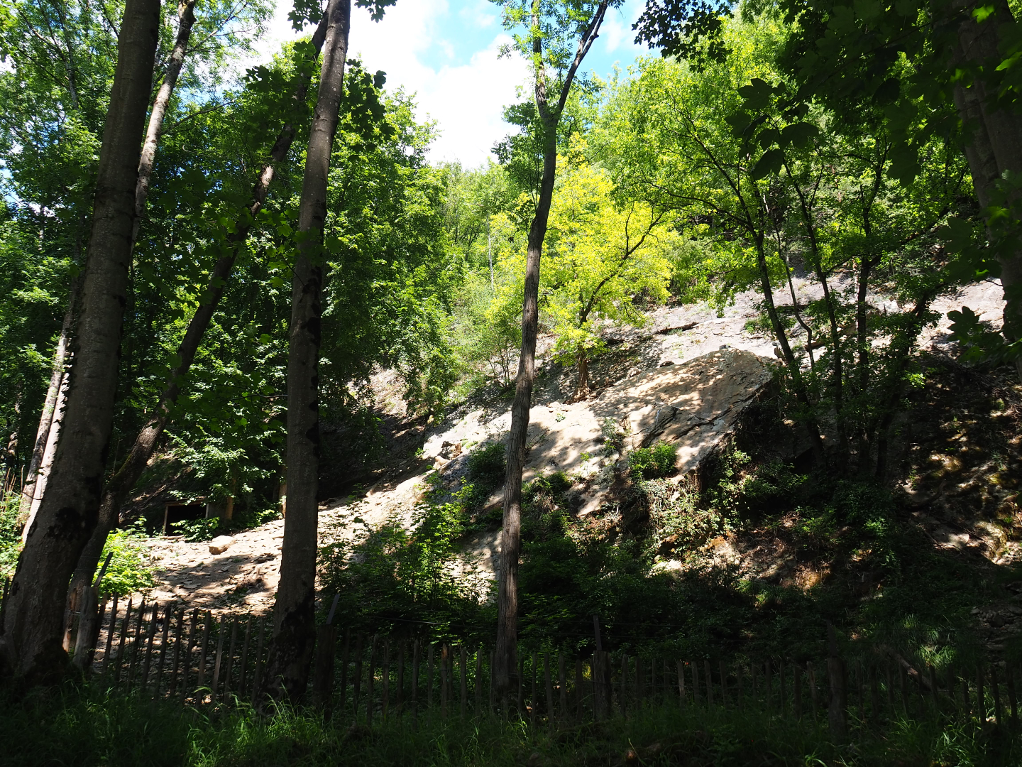 Exhibit for non-flighted Western Eurasian griffon vultures, 2020-07-12