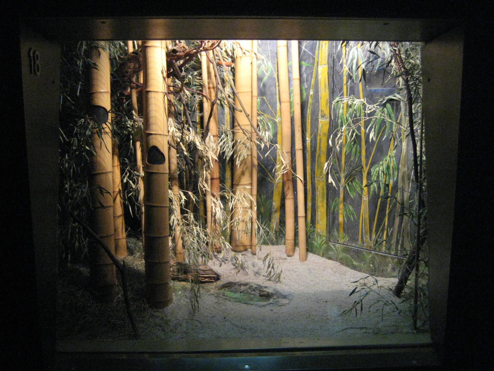 Exhibit for Pgymy sugar gliders