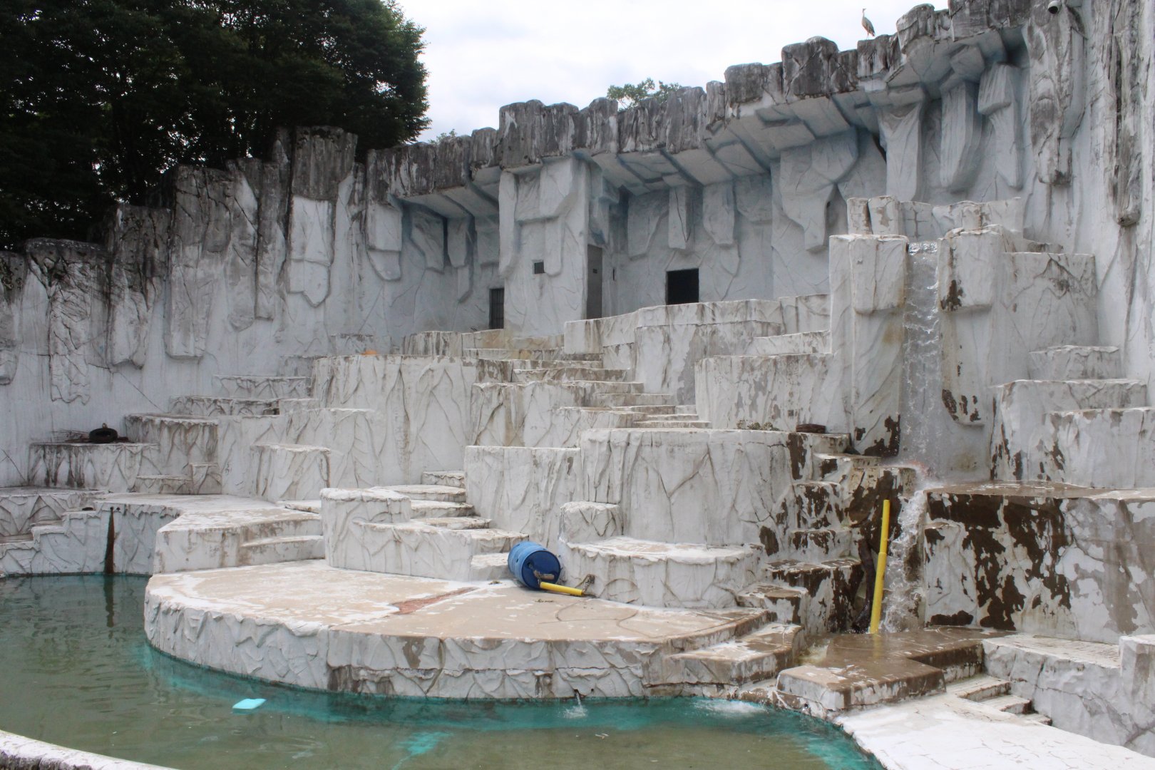 Exhibit for polar bear