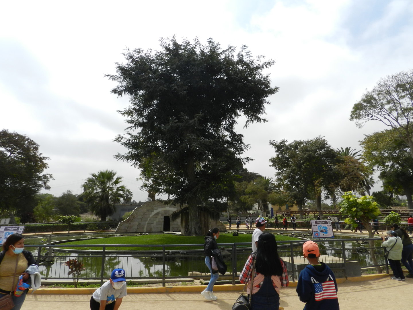 Exhibit for pond turtles and domestic waterfowl - Parque de Las Leyendas