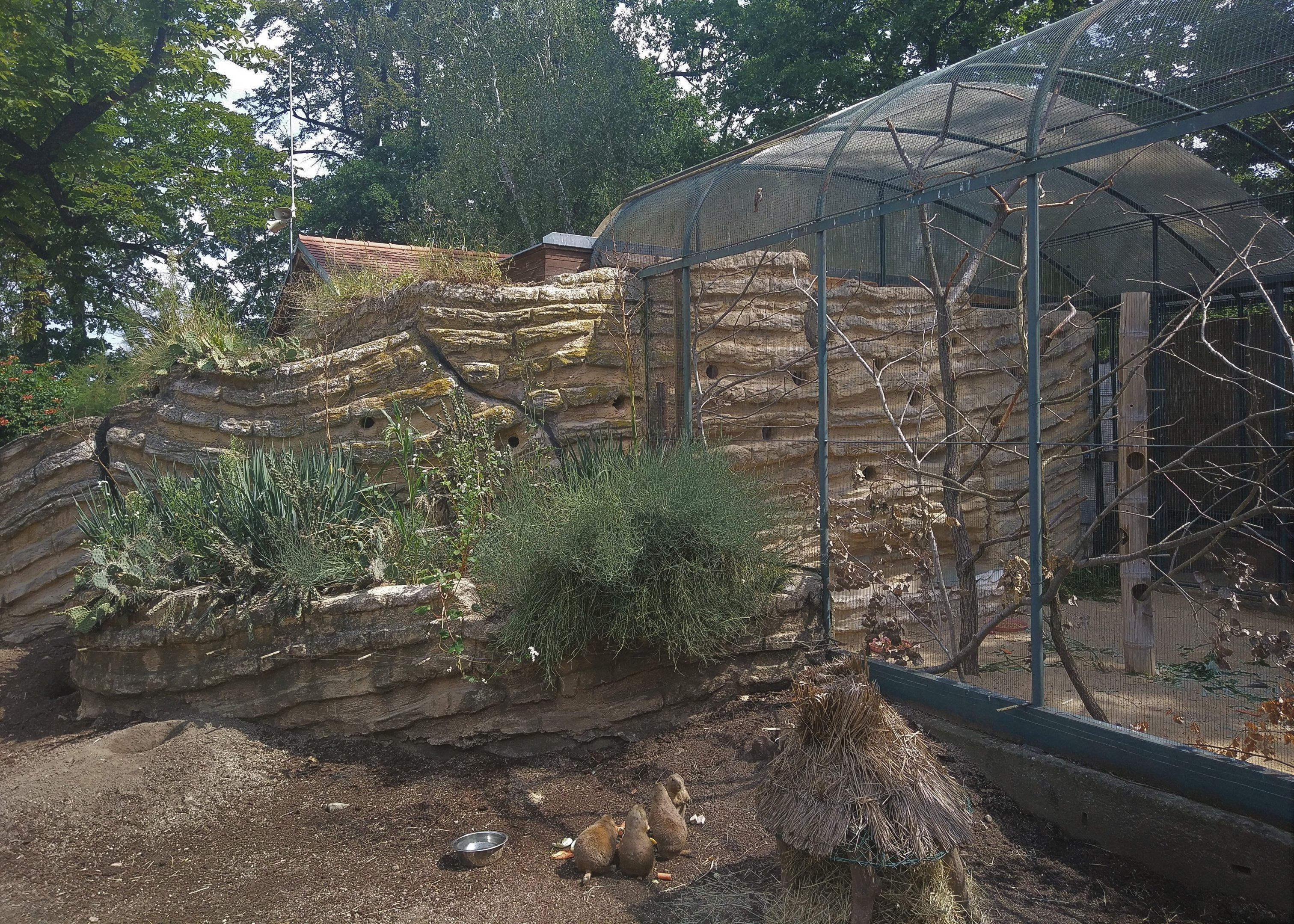 Exhibit for Prairie Dogs and Aviary for Helmeted Currasow