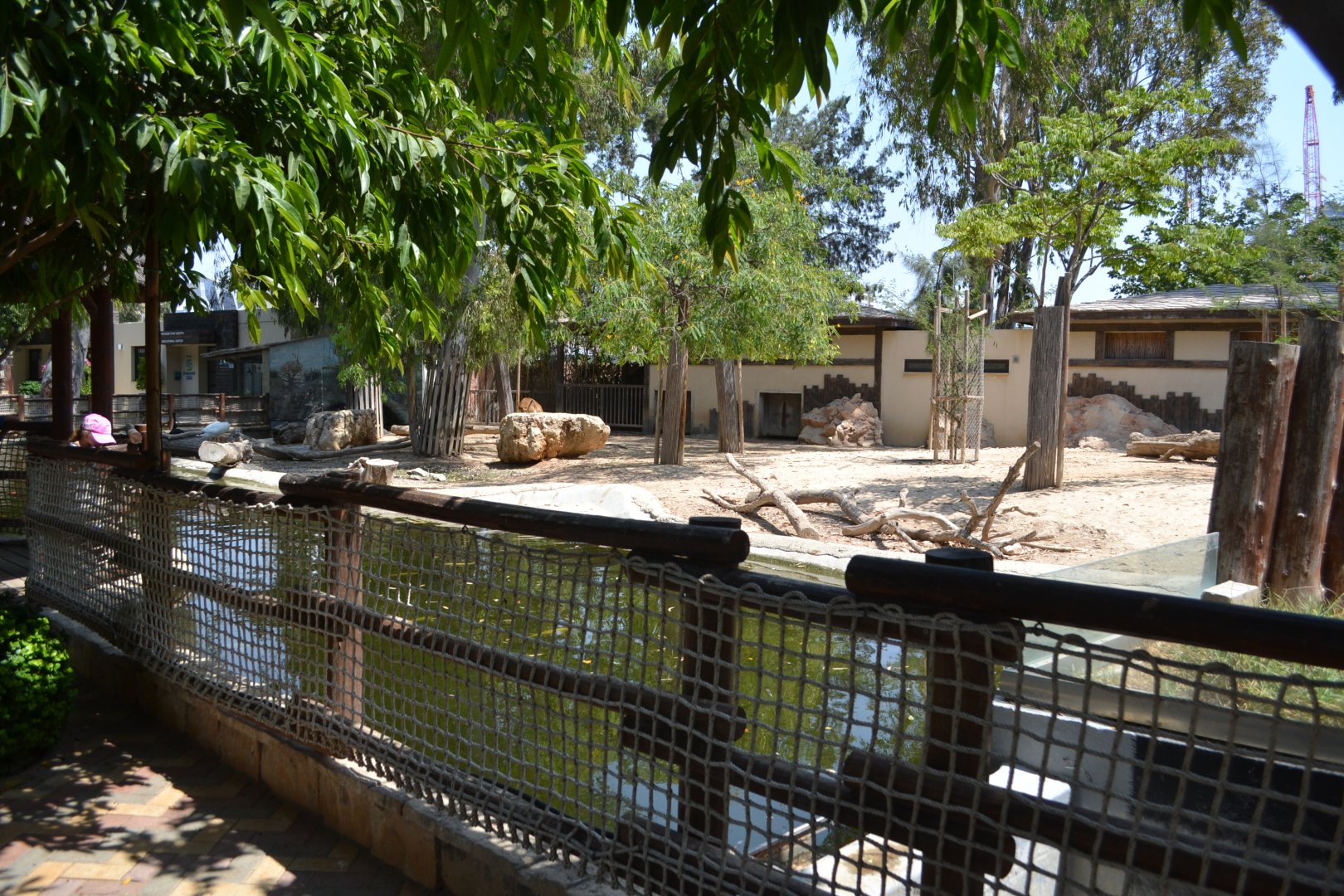 Exhibit for pygmy hippopotamus, Kafue lechwes and Mute swans