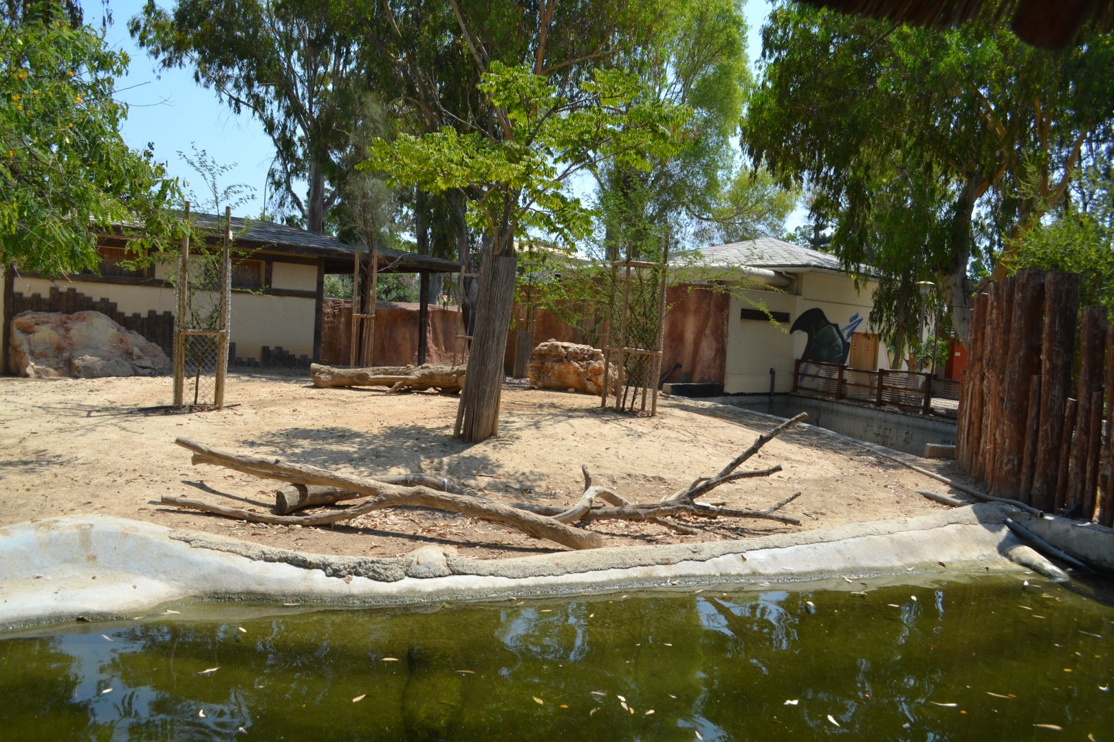 Exhibit for pygmy hippopotamus, Kafue lechwes and Mute swans