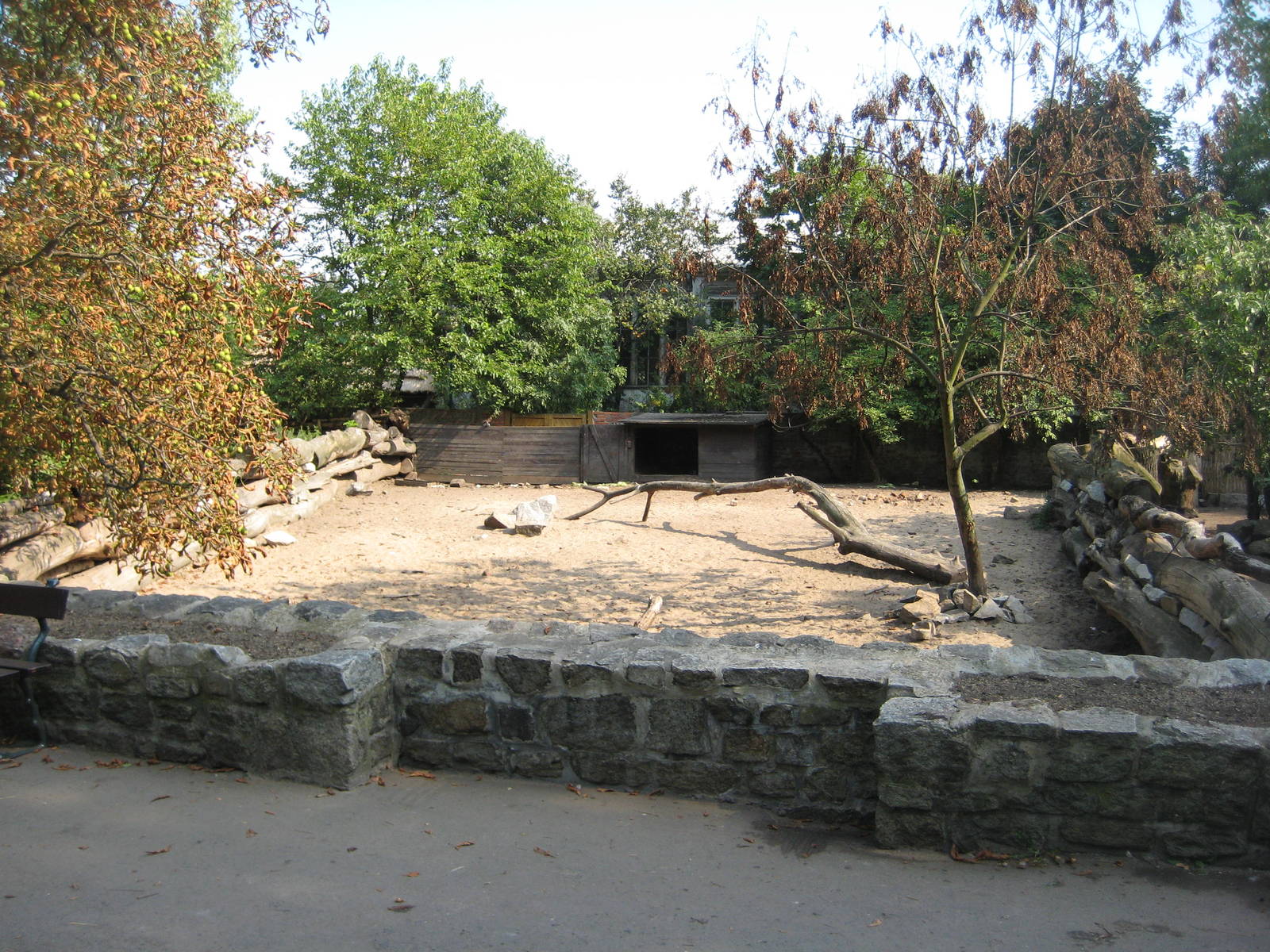 Exhibit for red river hogs