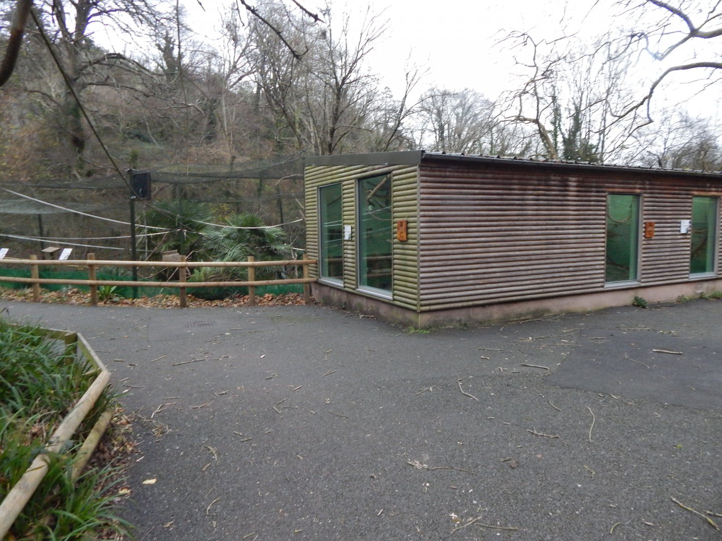 Exhibit for Ring-tailed lemurs and Red-fronted lemurs 111224