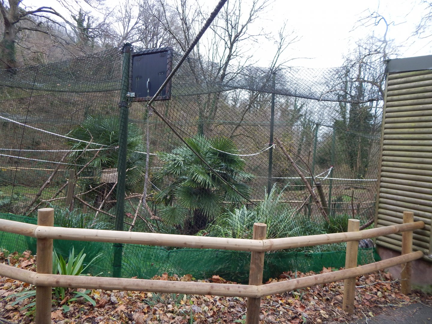 Exhibit for Ring-tailed lemurs and Red-fronted lemurs 111224