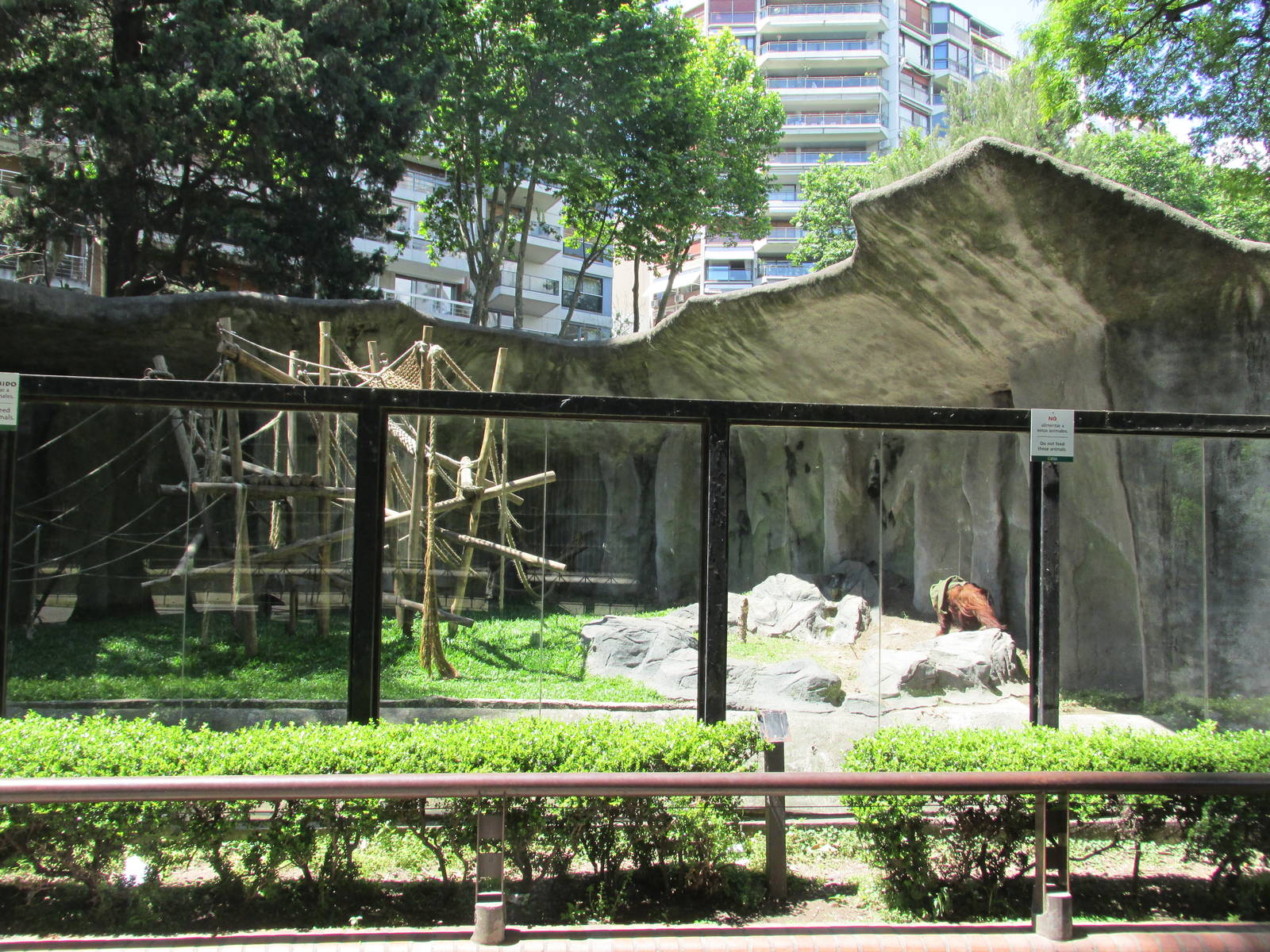 exhibit for Sandra a non human person with a habeas corpus who is also an o