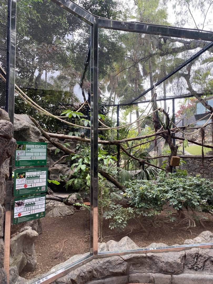 Exhibit for small (new world) primates