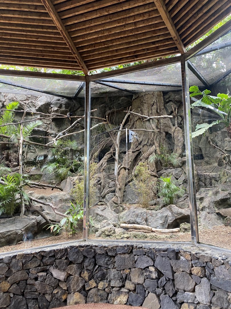 Exhibit for small (new world) primates