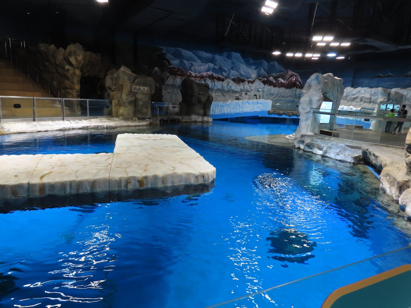 Exhibit for spotted seal