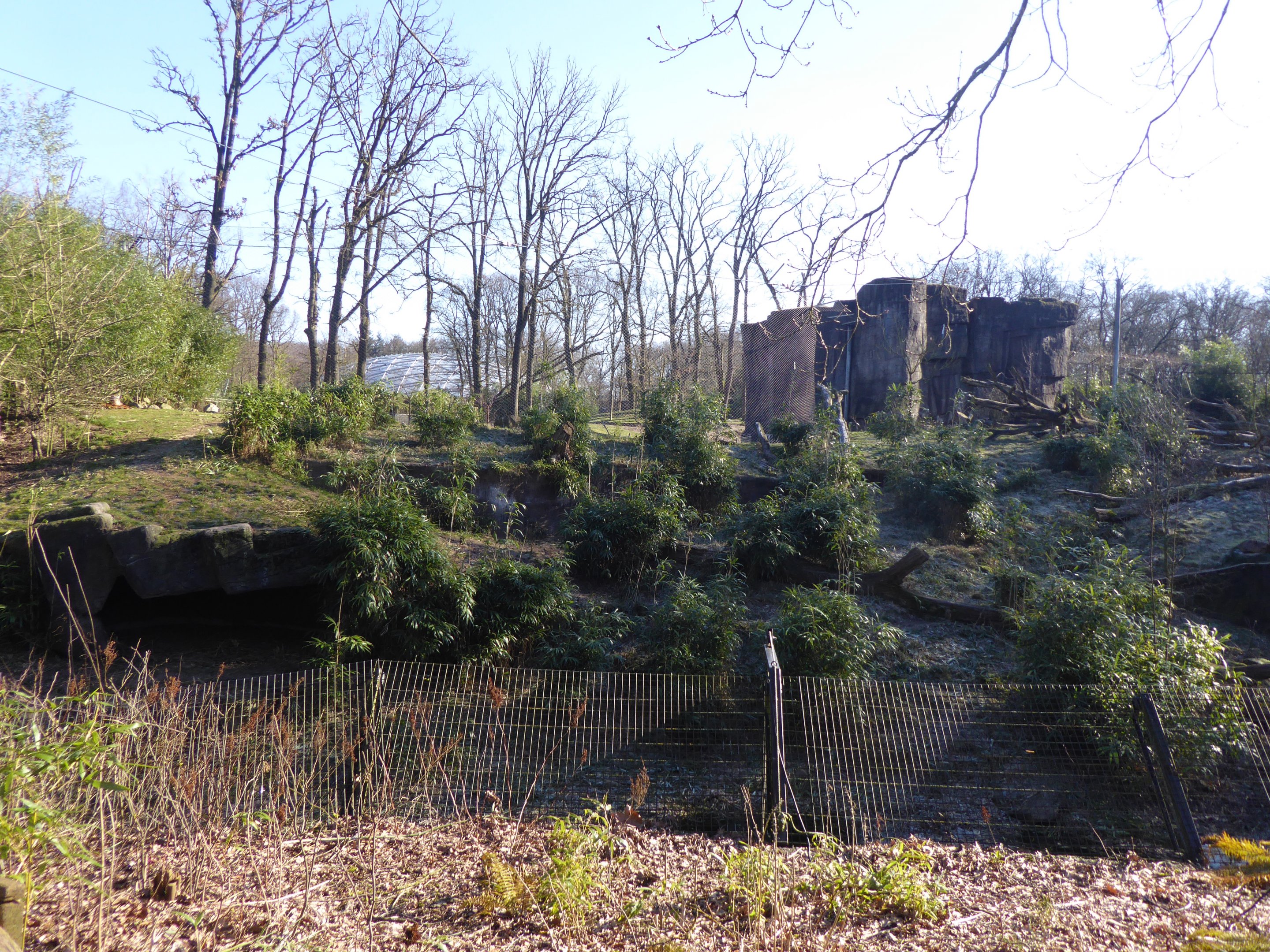 Exhibit for Sumatran Tiger