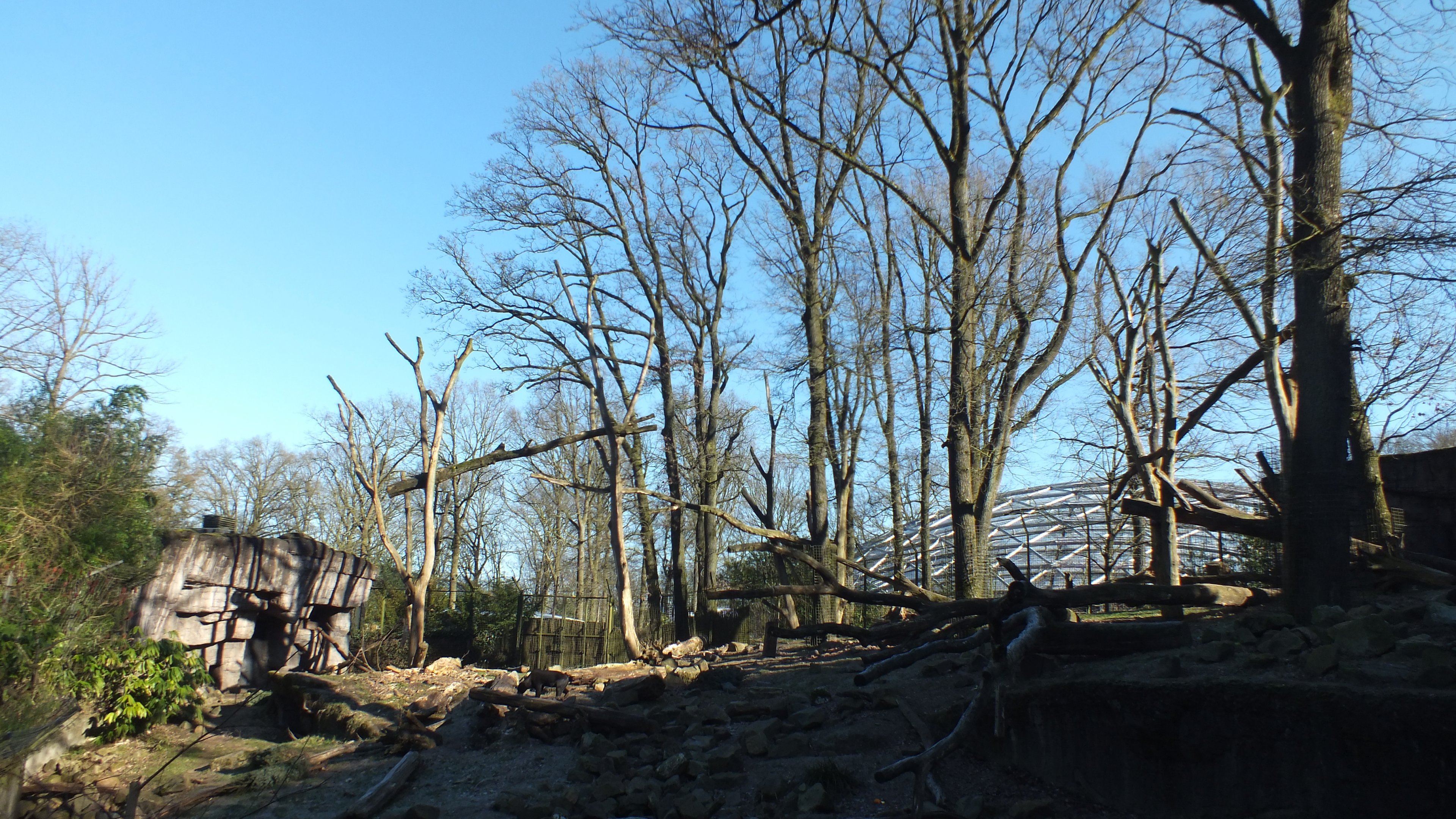 Exhibit for Sun Bear