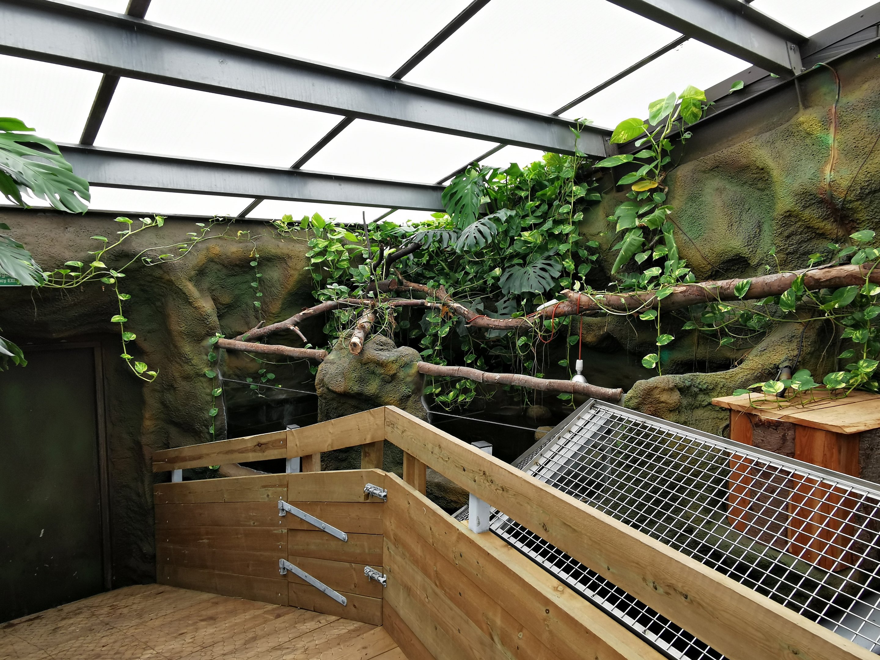 Exhibit for Yellow-spotted Amazon river turtles (Podocnemis unifilis) - Masaguaral hall