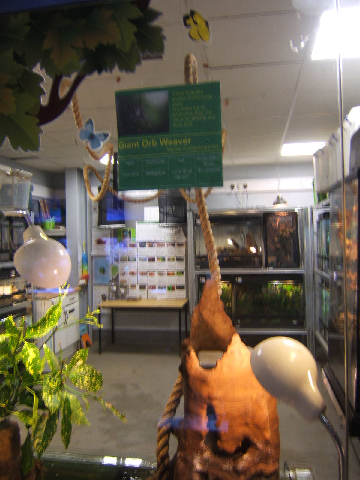 Exhibit from the ceiling of the Invert Room